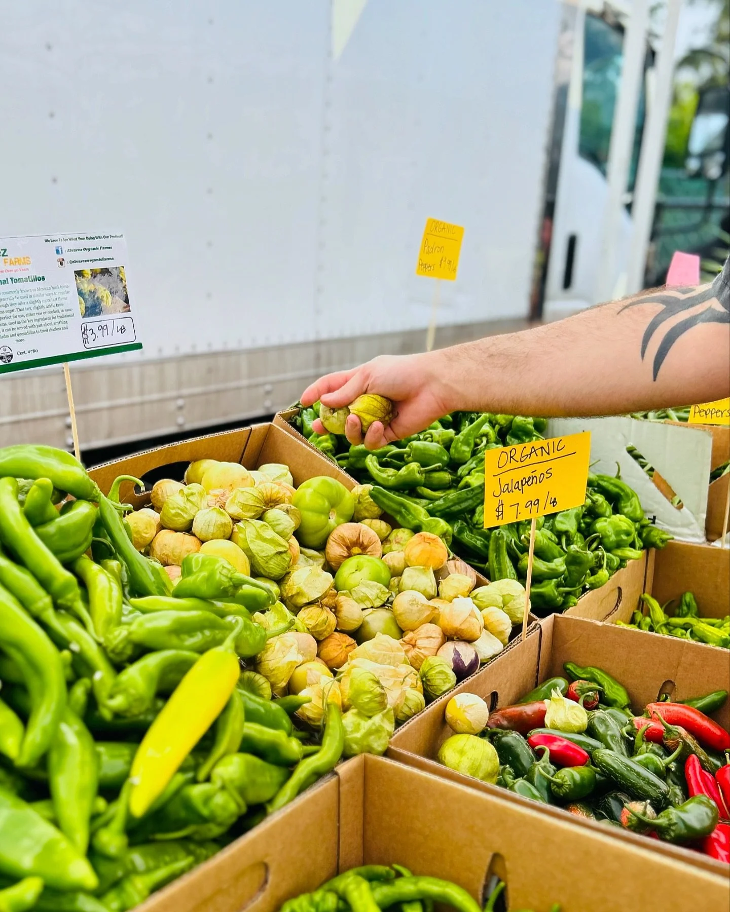 Soaking up the last couple weeks of the #phinneyridgefarmersmarket 🌞 

Thanks for the fresh tomatillos @alvarezorganicfarms 💚💛🧡

#autumnseattle // #generalharvestseattle 
.
.
.
.