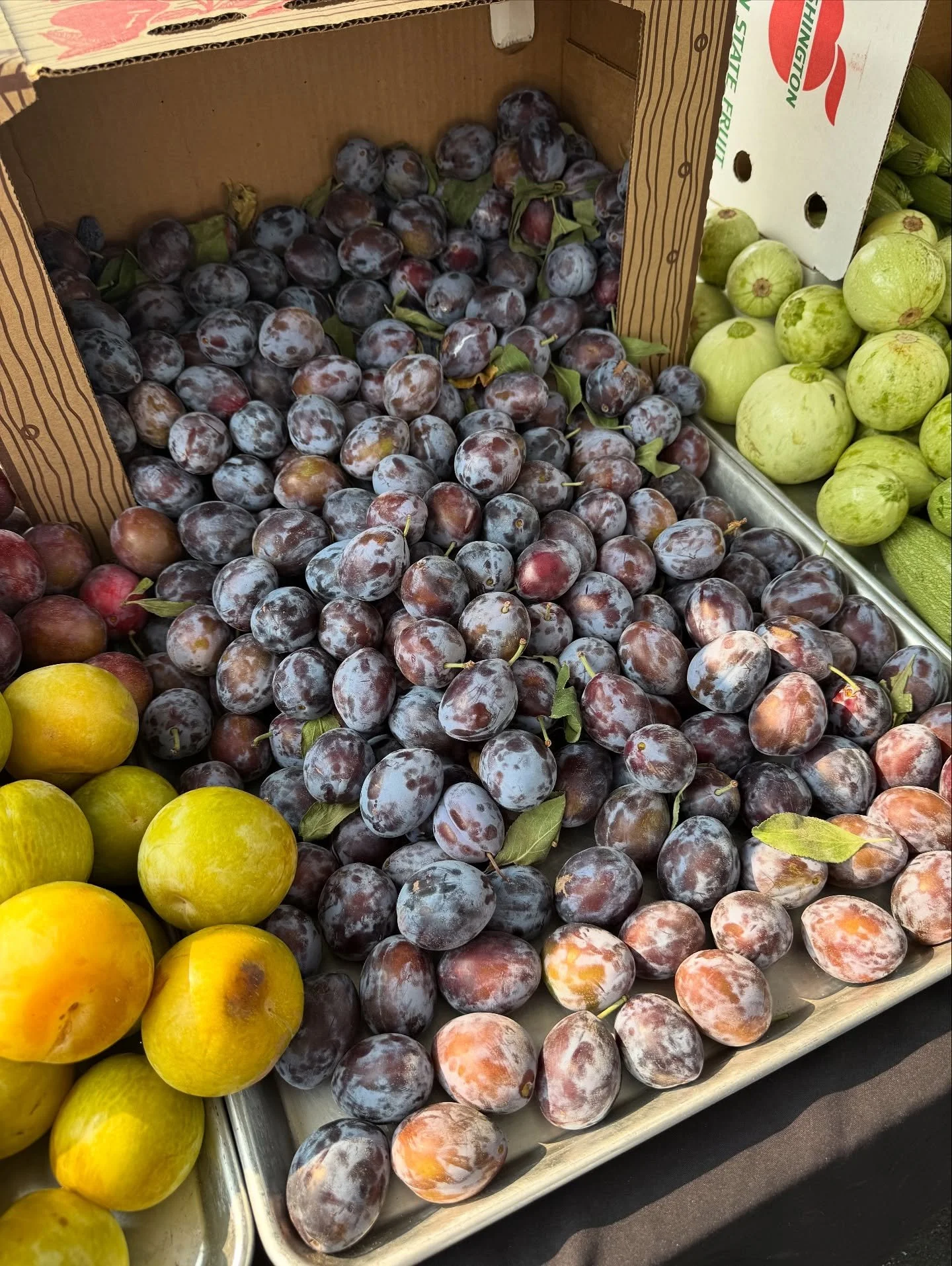 Our camera roll before we throw a 5-course dinner party at Autumn &mdash; and you're invited! This tasting menu will highlight the PNW's produce and agriculture utilizing local, farm fresh ingredients. This special tasting dinner is available for two