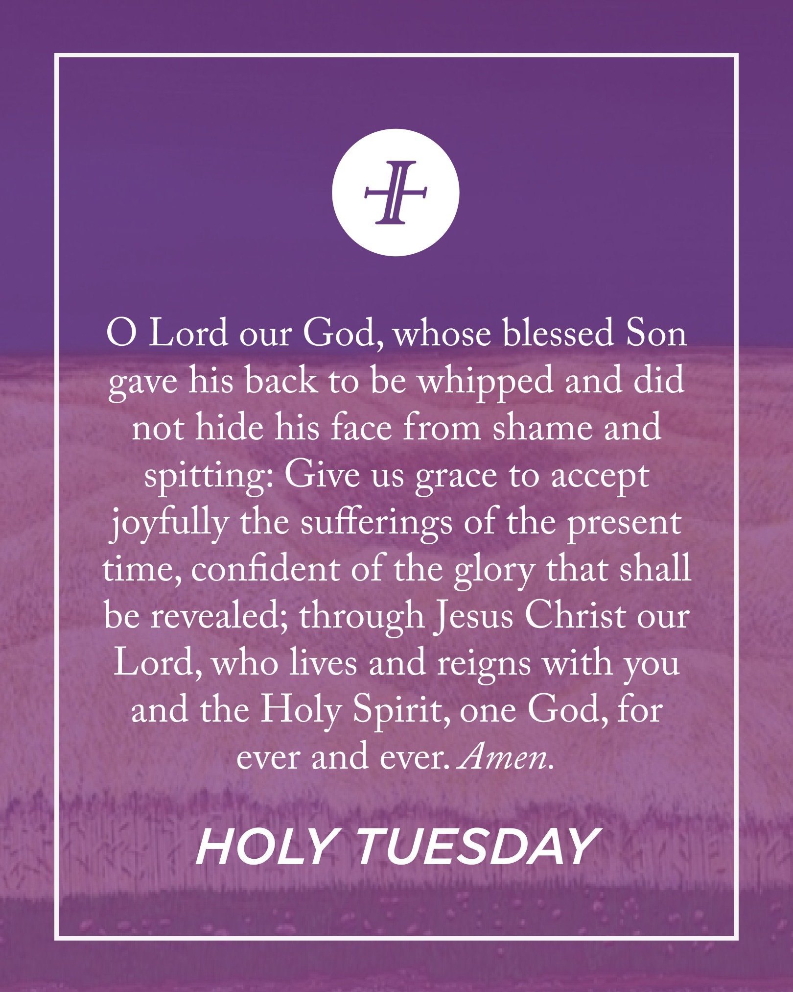 Imagine being with Jesus as He is whipped and spat upon. The Lord who reigns over creation is callously mistreated by His own creation. How do we make sense of this? In light of Jesus&rsquo; journey to the cross, how do we make sense of our own suffe