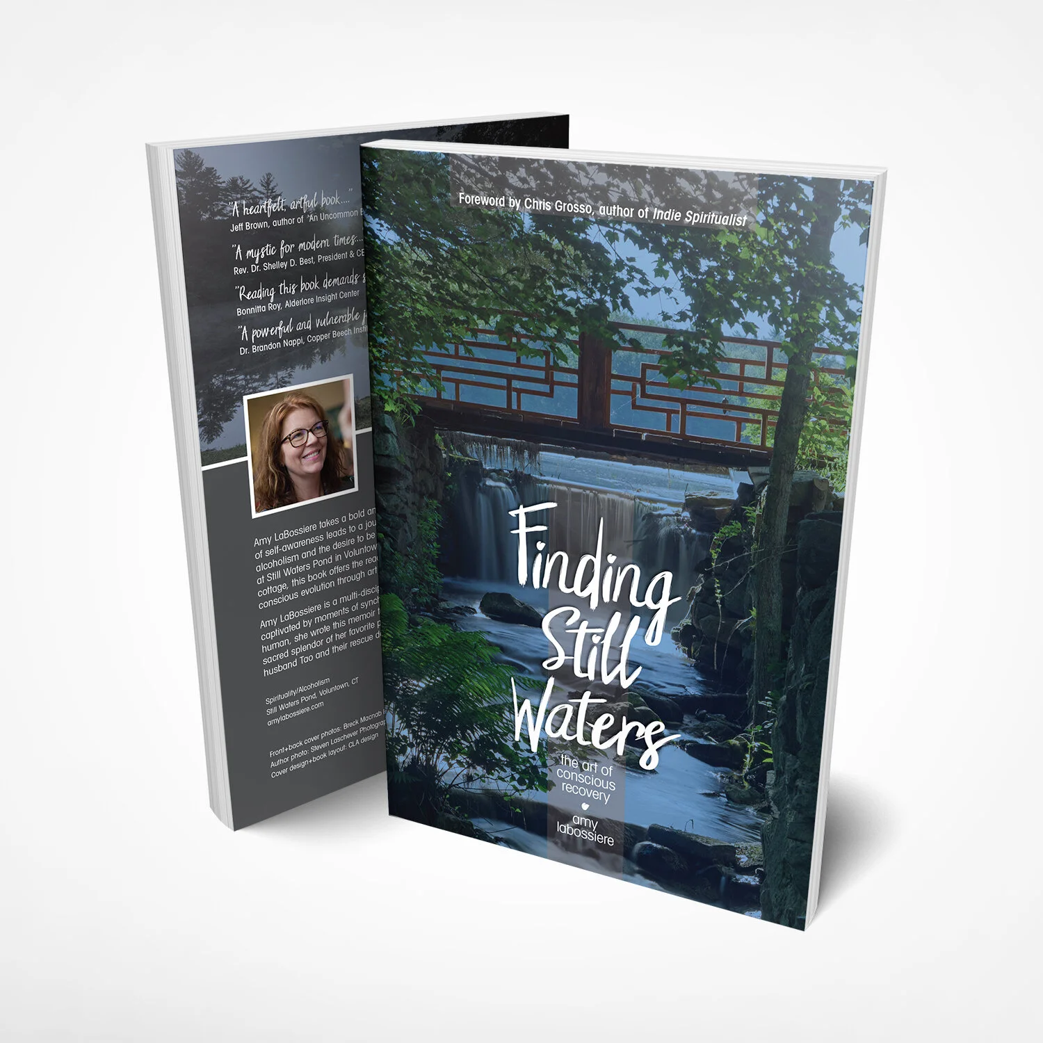 StillWaters_book.jpg