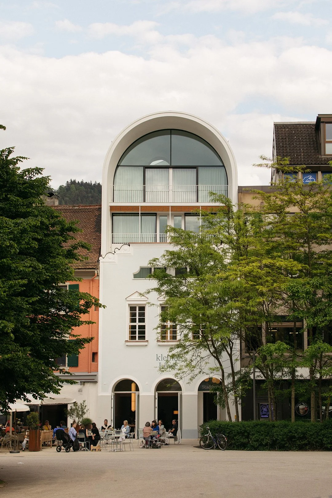 kleiner_loewe14.jpg