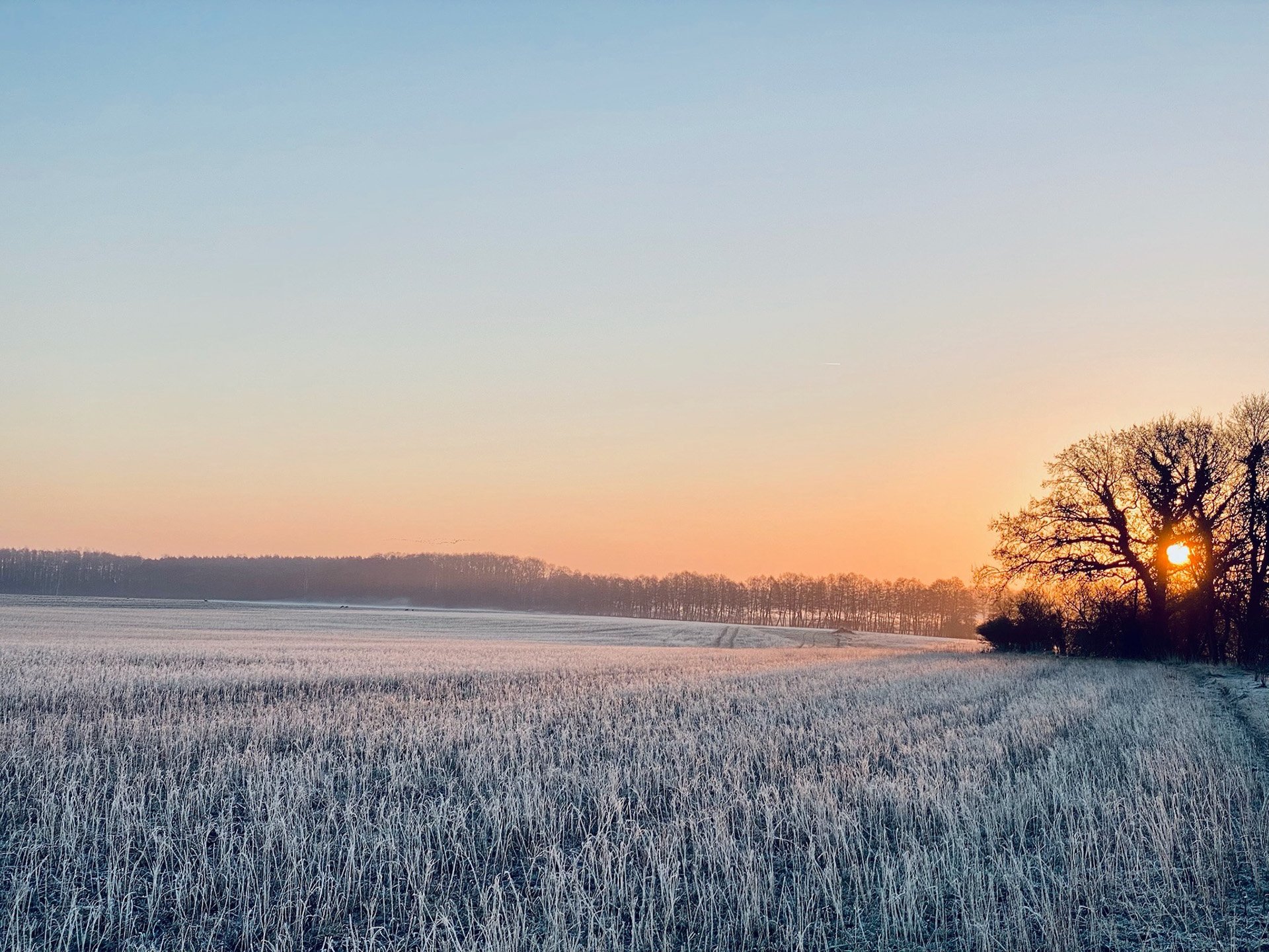 Liebevoll gestaltetes Landhaus in der westlichen Prignitz – Idyllische Lage mit unverbaubarem Naturblick