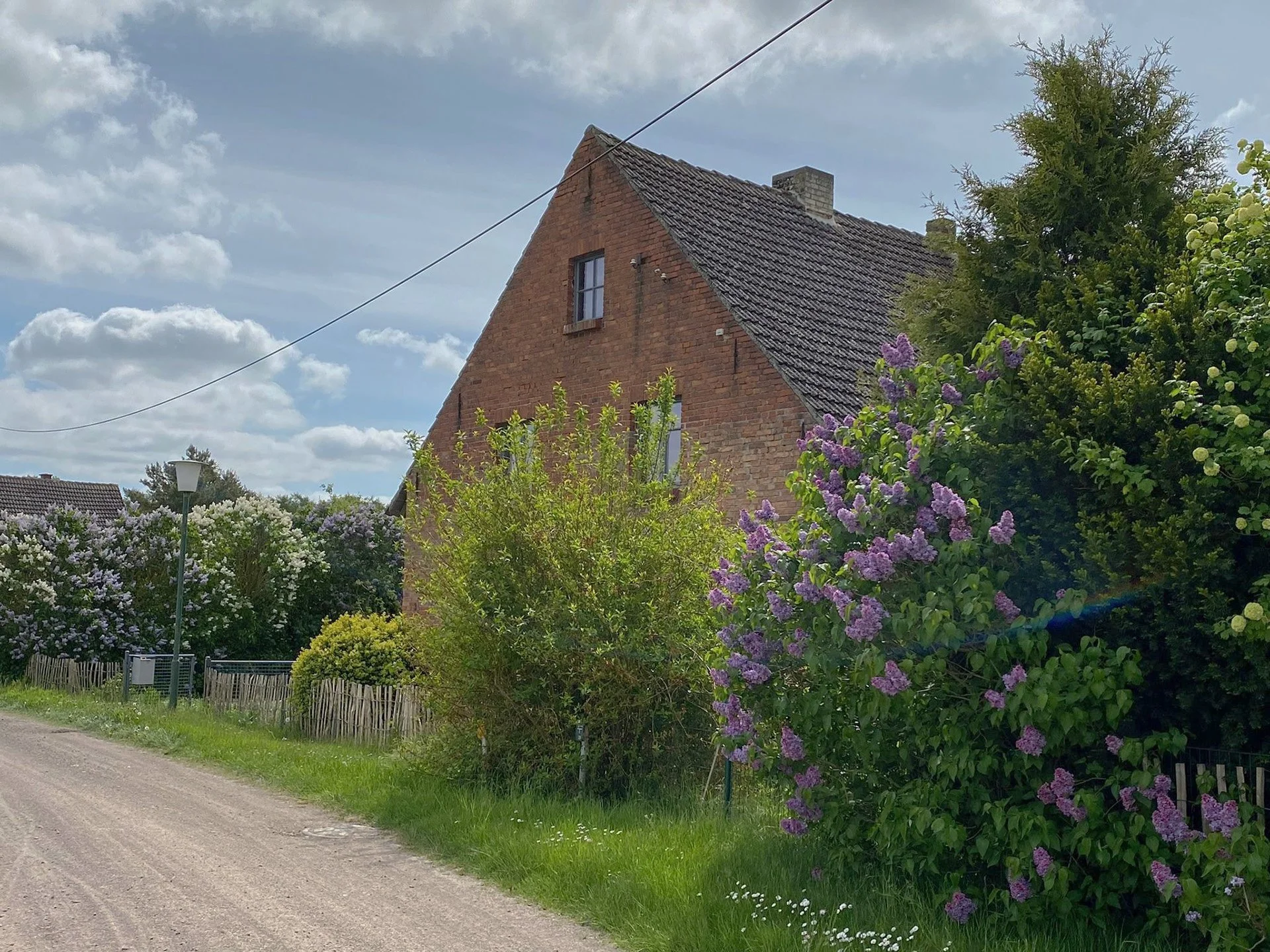 am_eierberg7-2.jpg