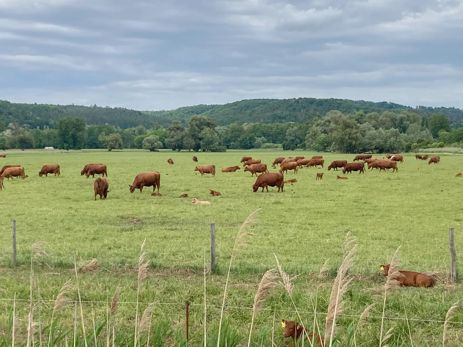Exklusives Baugrundstück in außergewöhnlicher Naturlage mit genehmigter Architektenplanung