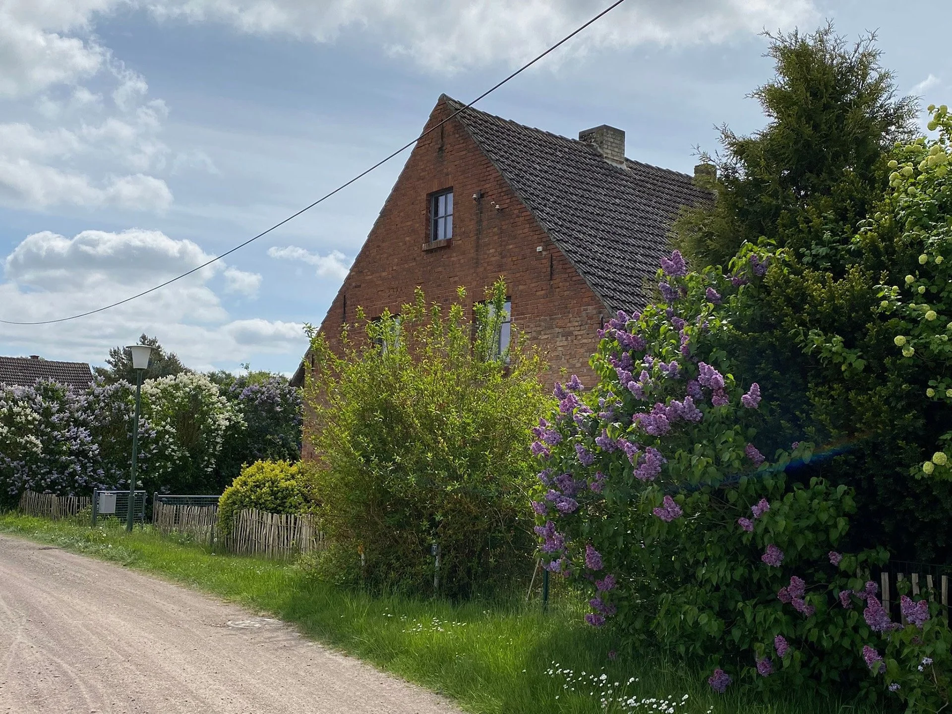 Liebevoll gestaltetes Landhaus in der westlichen Prignitz – Idyllische Lage mit unverbaubarem Naturblick