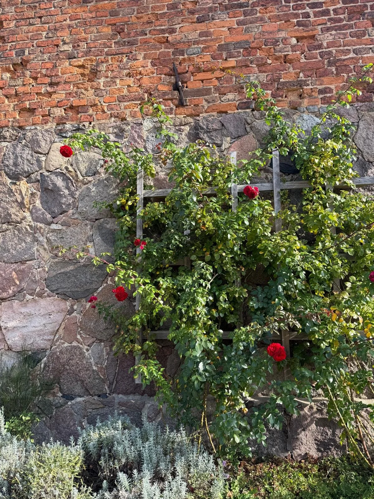 gross_fredenwalde9.jpeg