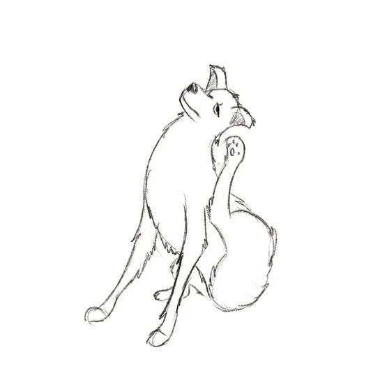 More doggos - finishing up a dog animation this week that I&rsquo;ll hopefully be able to share soon!
.
.
.
.
.
.
#illustration #characterdesign #characterdevelopment #illustrationartists #quicksketch #artistsofinstagram #sketchaday #illustratorsonin