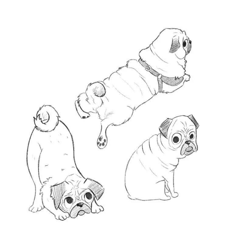 More dogs, but the pug version! I love all their wrinkles and rolls ✨
.
.
.
.
.
#illustration #doggo #photoshop #photoshopcc #dogsofinstagram #characterdesign #quicksketch #artistsofinstagram #sketchaday #illustratorsoninstagram #art #dog #artwork #i