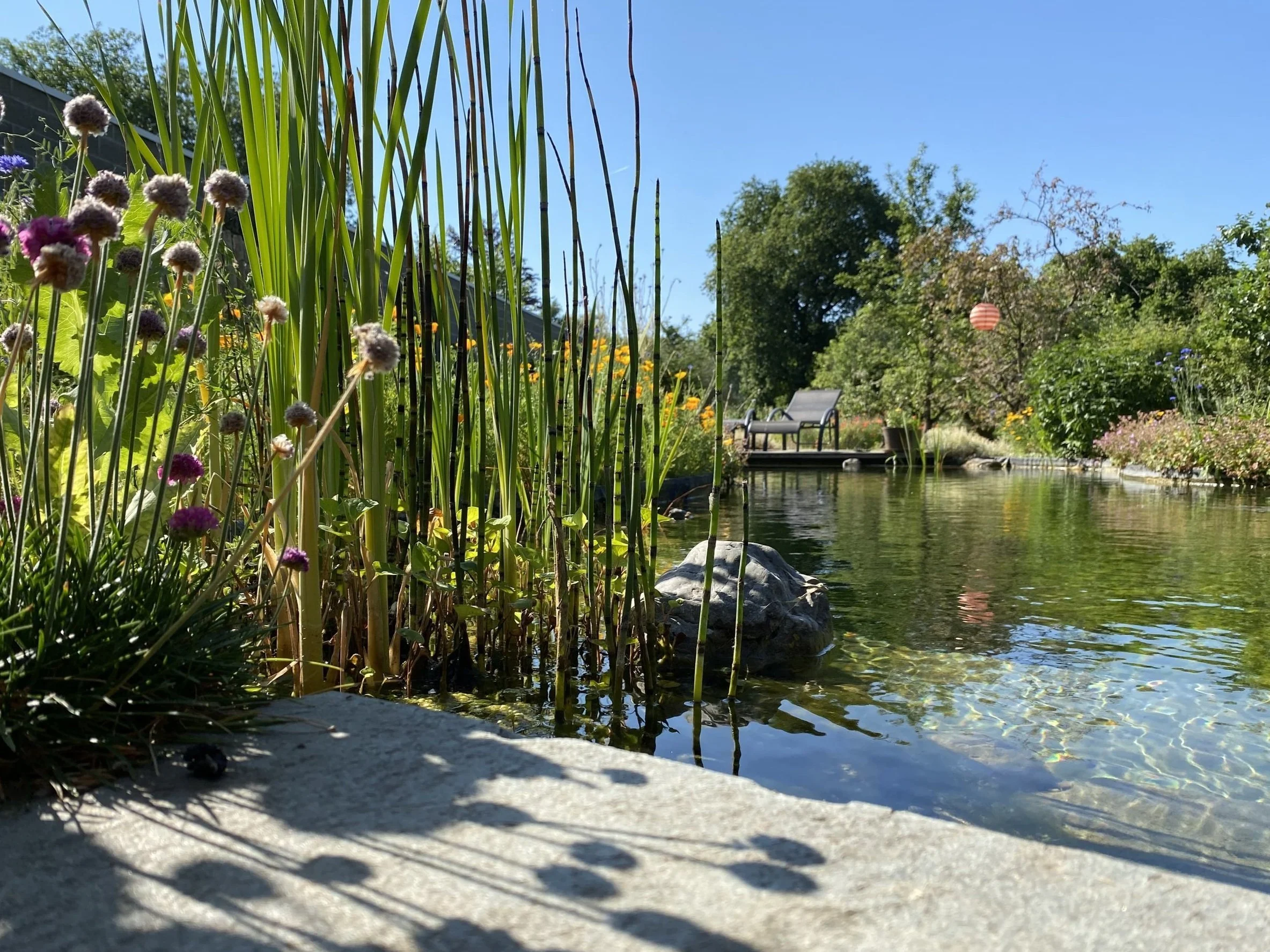biodiverse leeftuin met zwemvijver