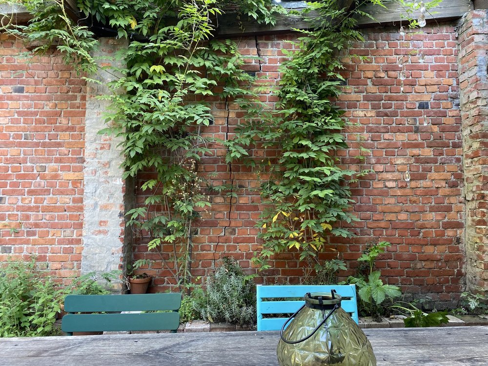 de-tuinen-van-tom-struyf-stadstuin-patio-patiotuin-zithoek-muur-klimplant.jpg