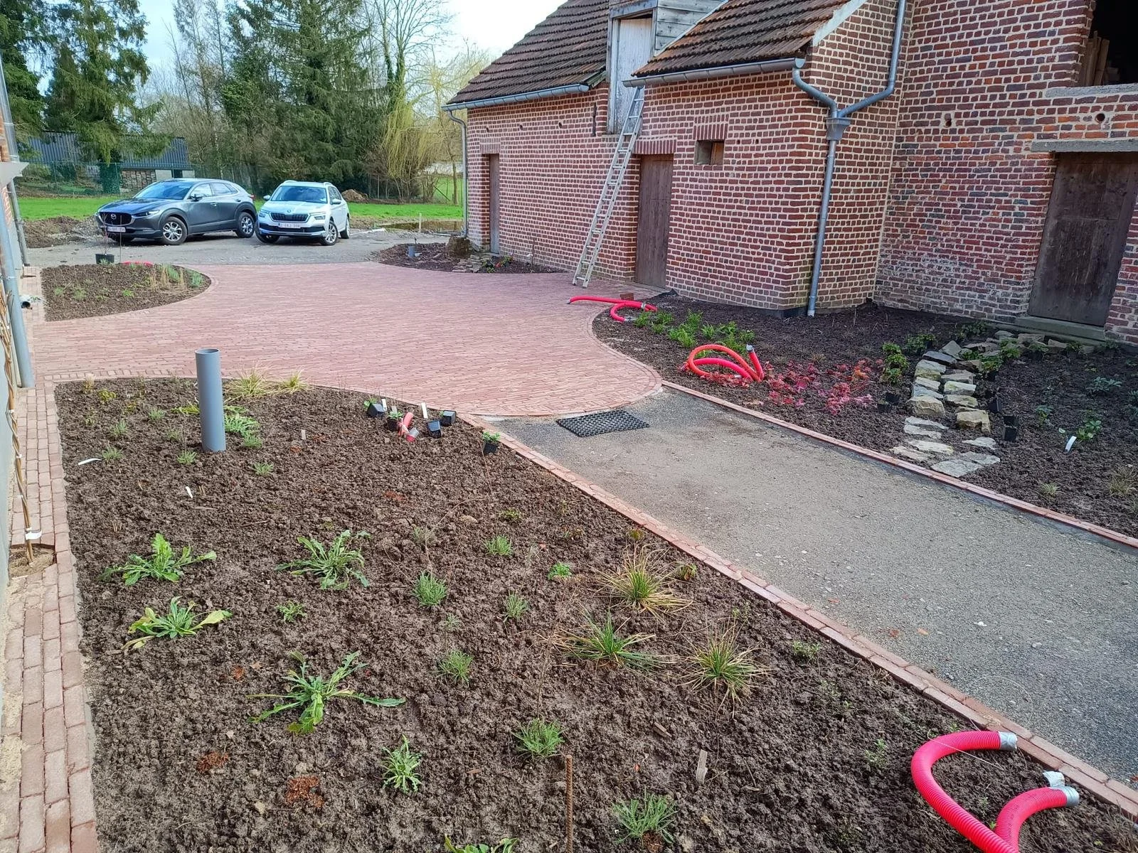 de-tuinen-van-tom-struyf-tuinontwerp-tuinarchitect-tuinaanleg-verharding-borders-vaste-planten-grindpad-tuinpad-in-progress.jpg