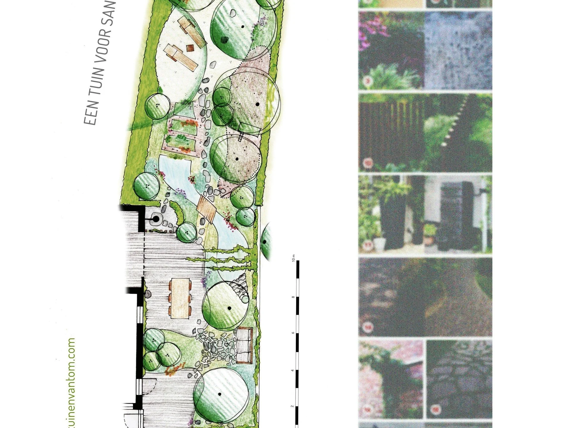 de-tuinen-van-tom-struyf-tuinontwerp-tuinarchitect-arnhem-schetsontwerp-natuurlijke-tuin-biodiverse-tuin-vijver.jpg