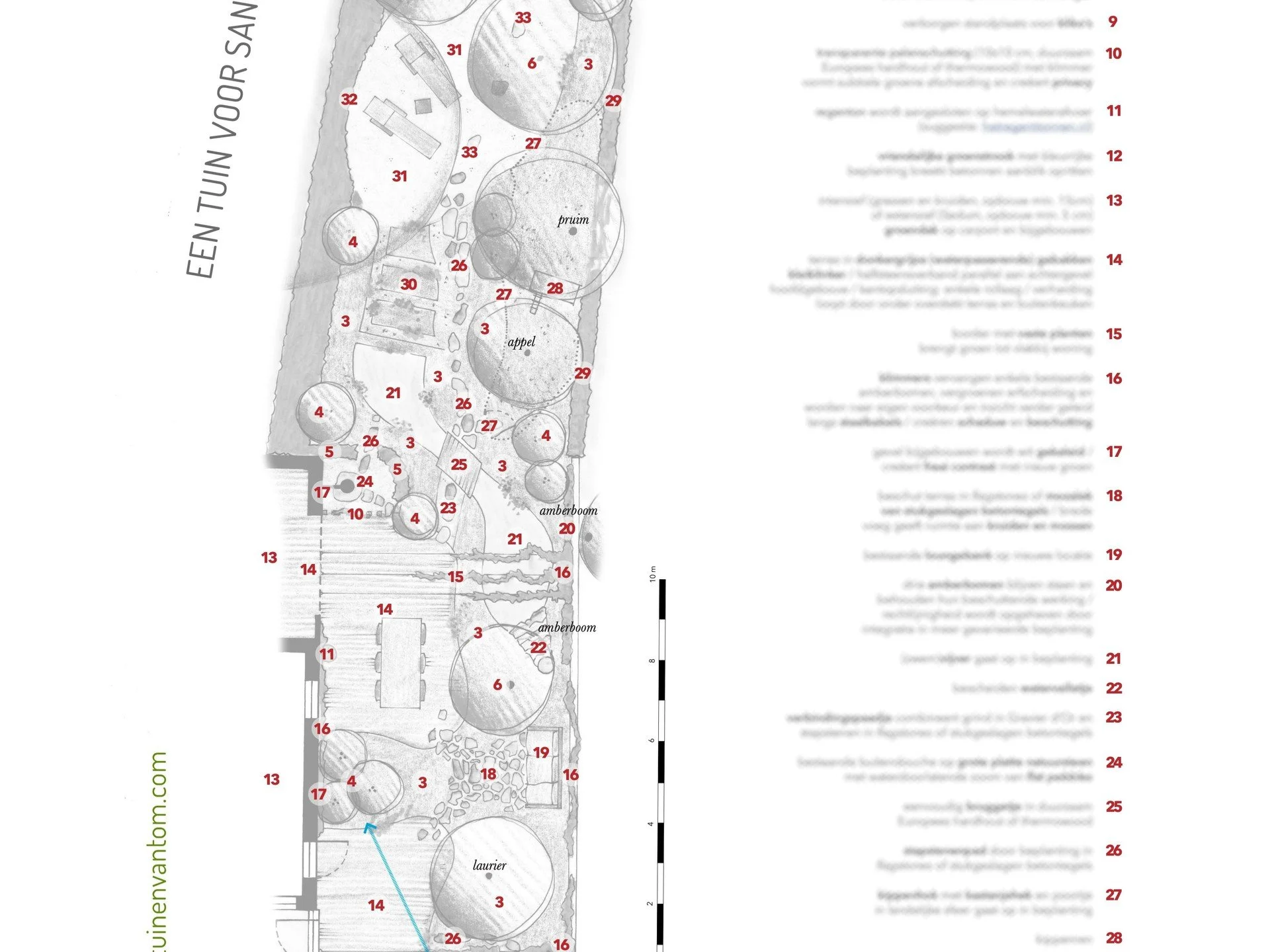 de-tuinen-van-tom-struyf-tuinarchitect-tuinontwerp-beplantingsplan-kleine-tuin-natuurrijke-tuin-biodiverse-tuin-arnhem.jpg