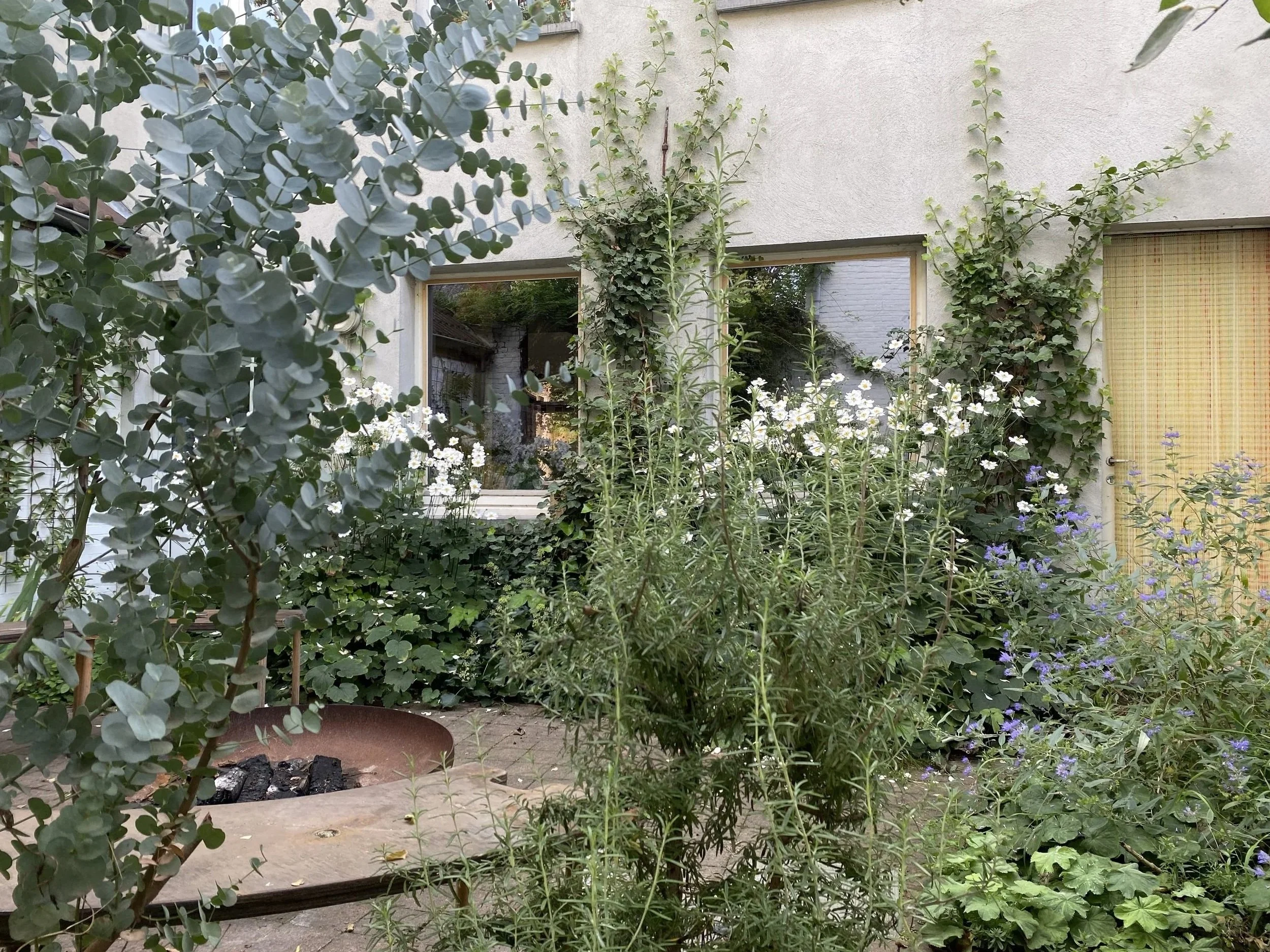 de-tuinen-van-tom-patiotuin-tuinarchitect-arnhem-tuinontwerp-natuurlijke-tuin.jpg