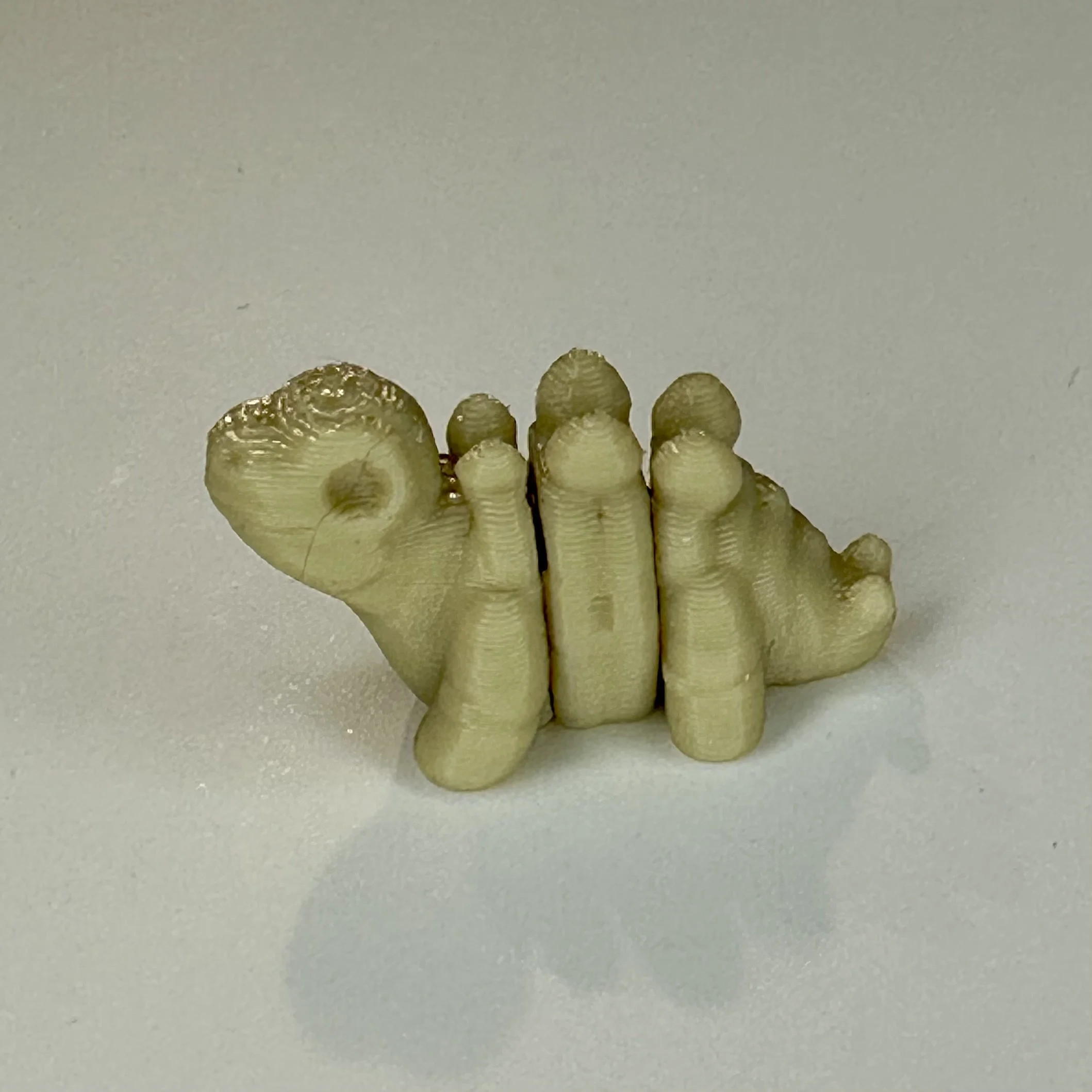 Tiny Pocket pet - Stegasaurus Skeleton