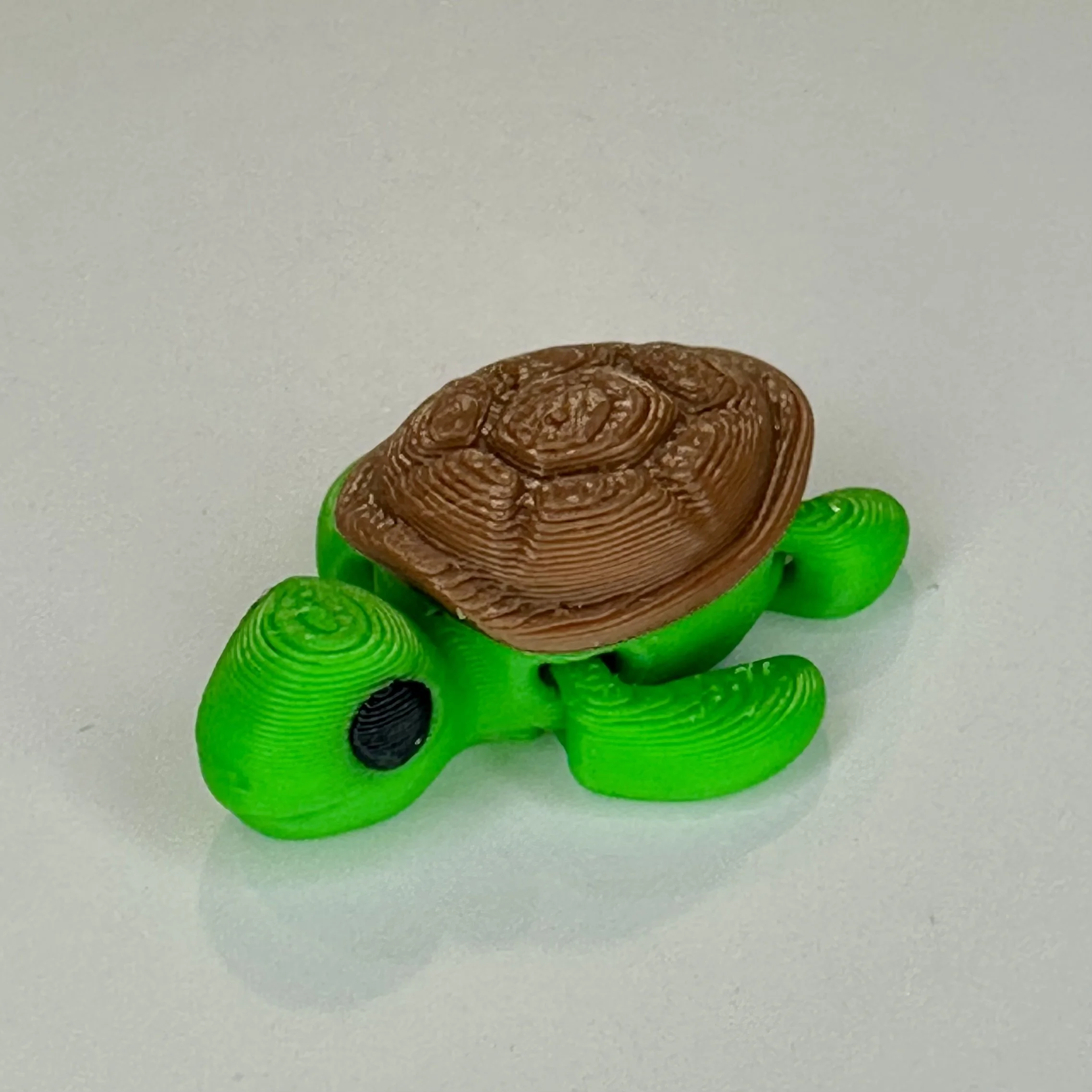 Turtle - tiny pet