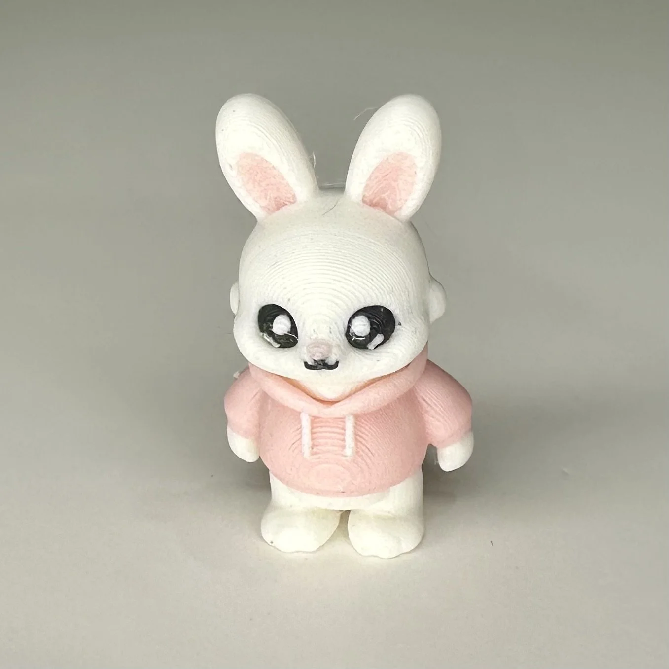 Small Pocket Pet - Bunny in hoody