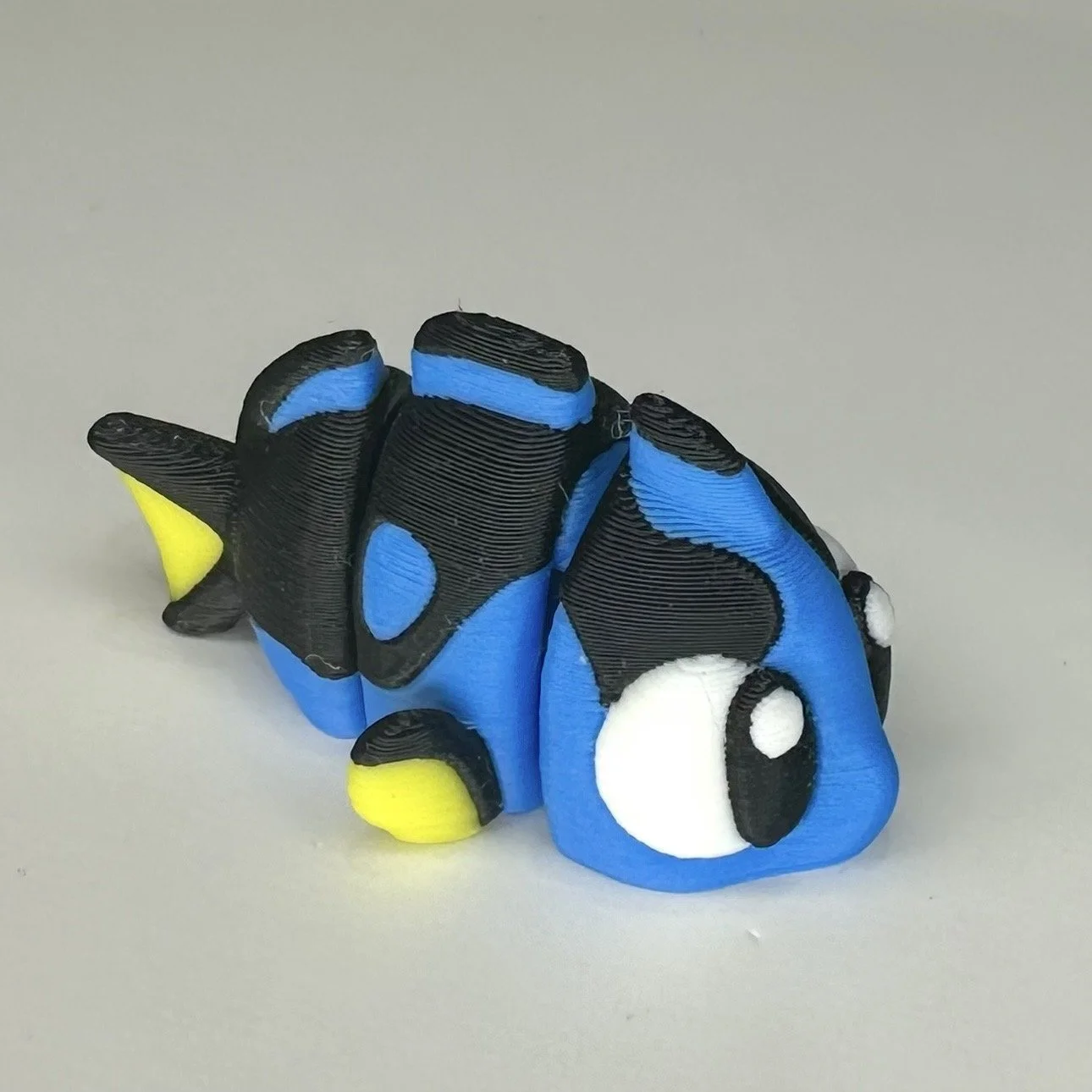 Small Pocket Pet - Regal Tang
