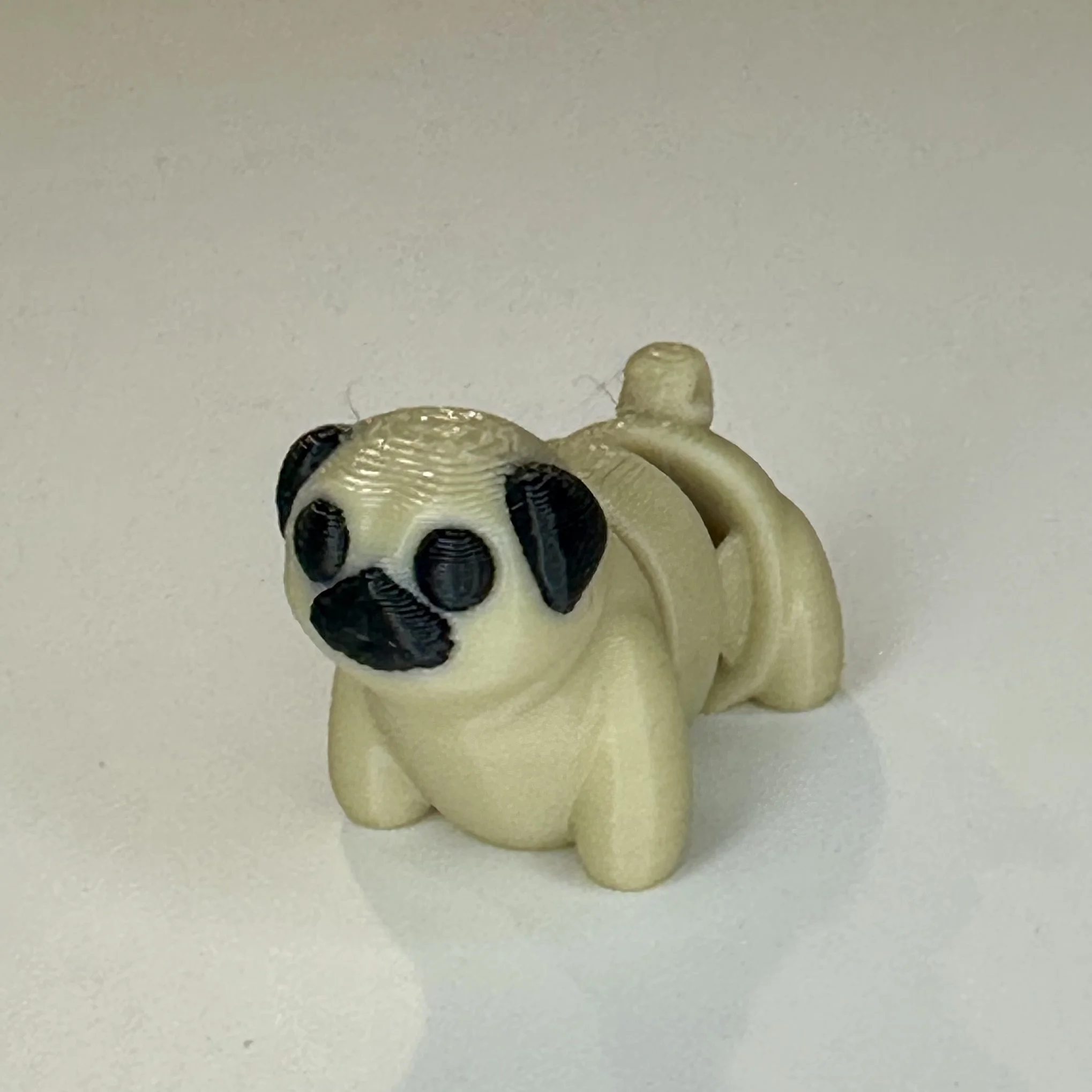 Tiny Pocket Pet - Pug