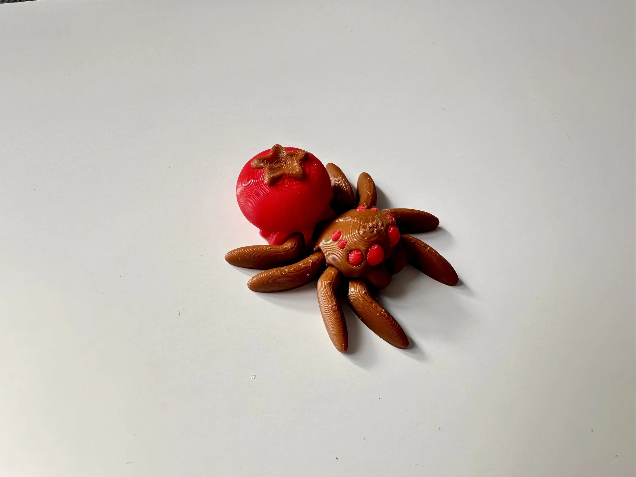 Pocket Pet - Redcurrant Spider