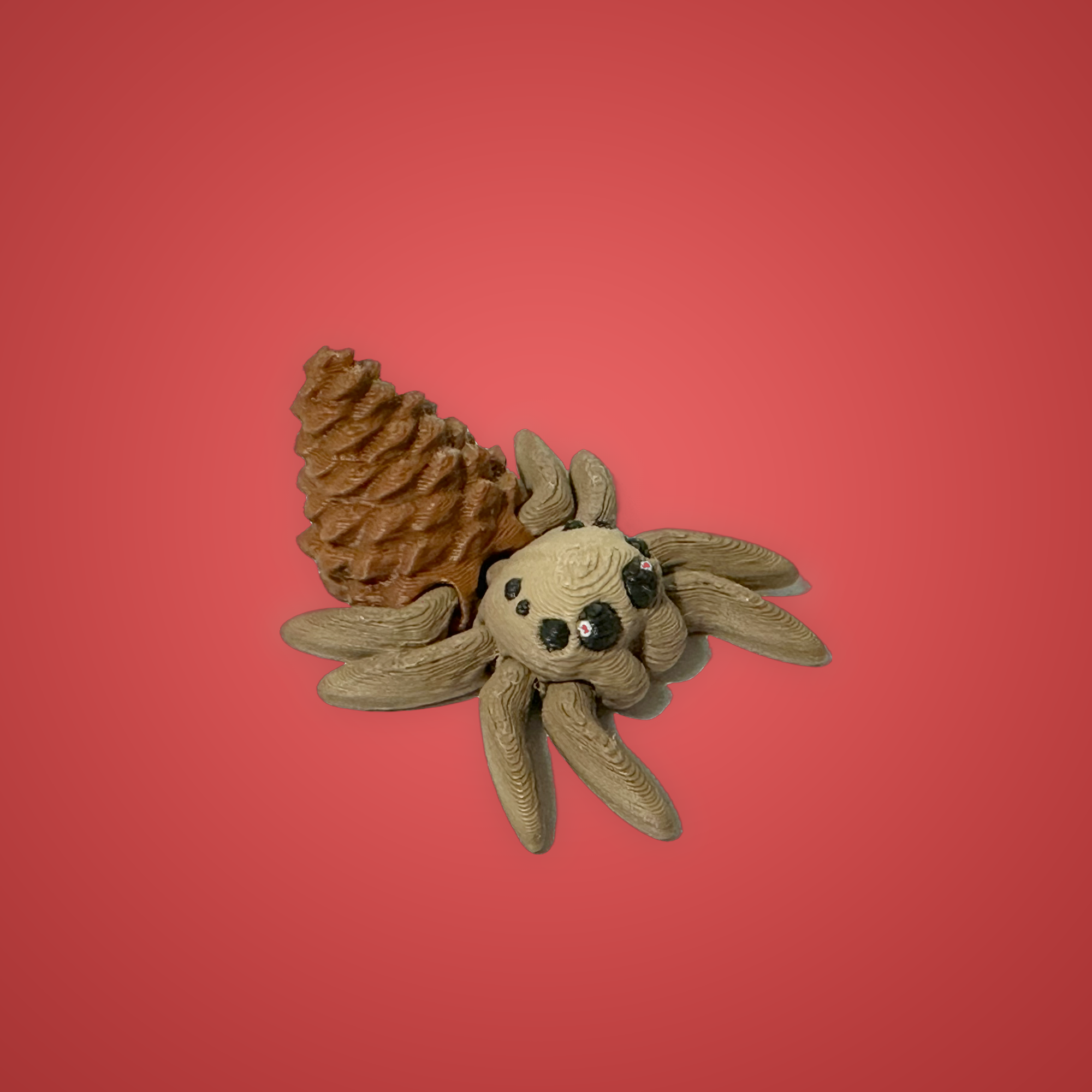 Pinecone Spider