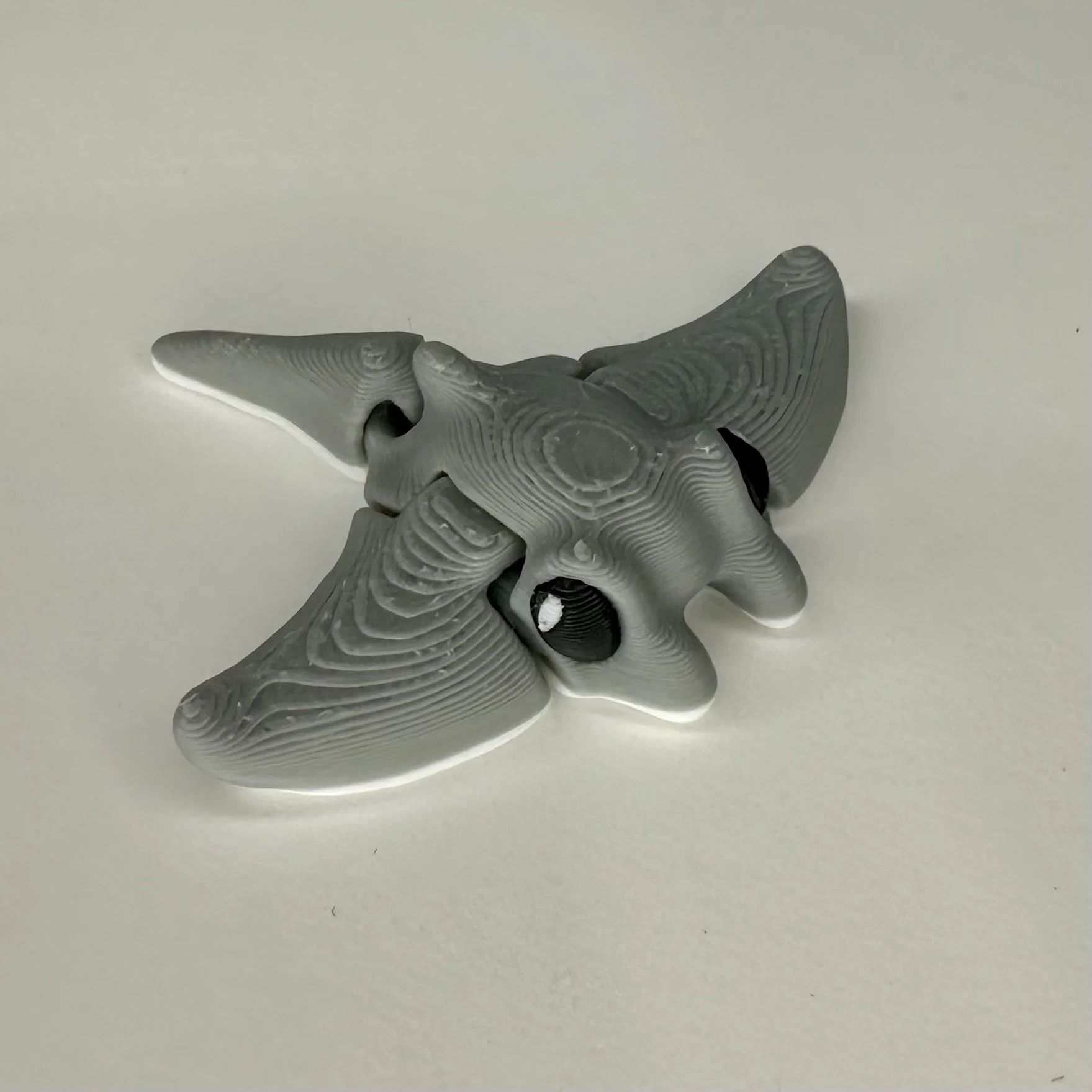 Small Pocket Pet - Manta ray