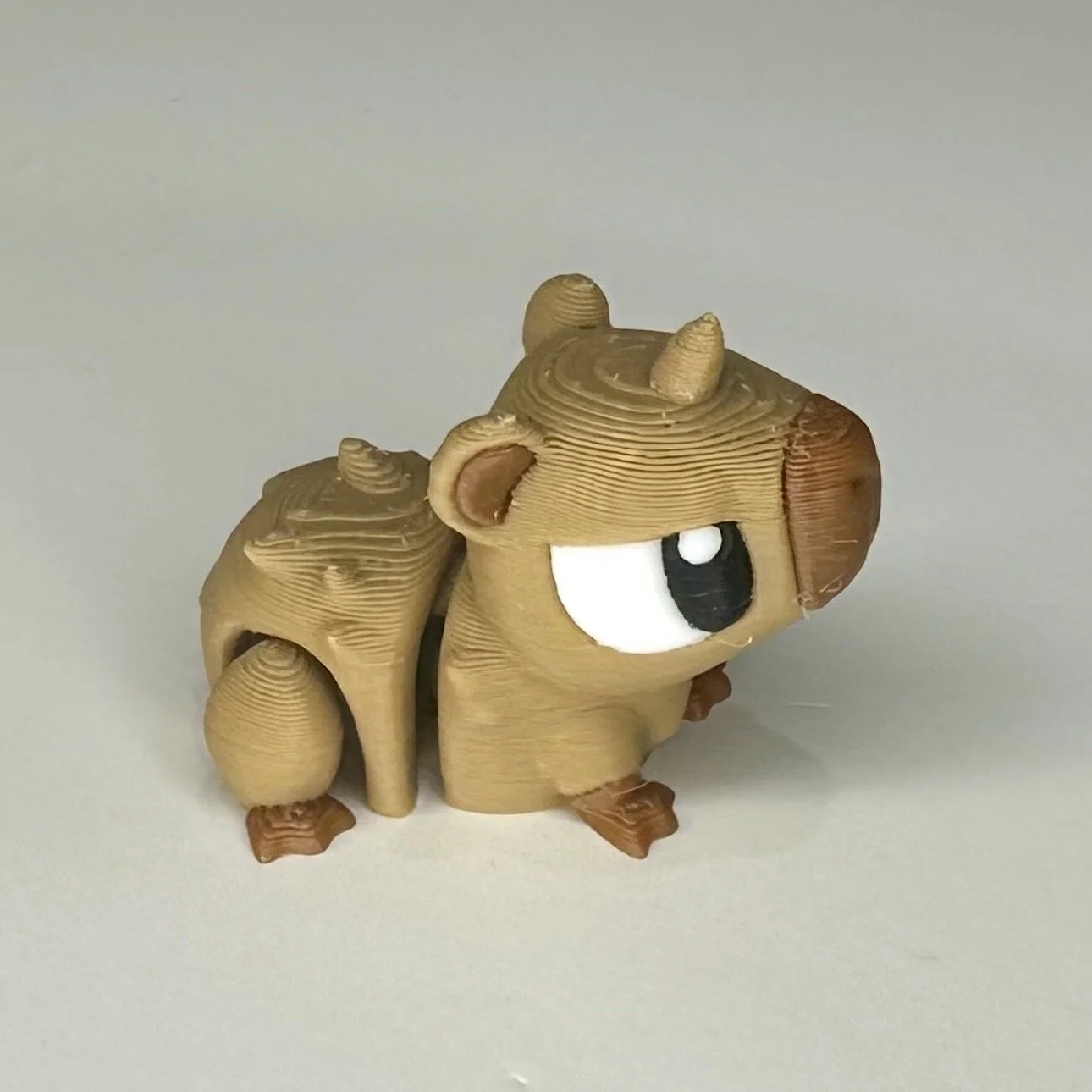 Small Pocket Pet - Capybara