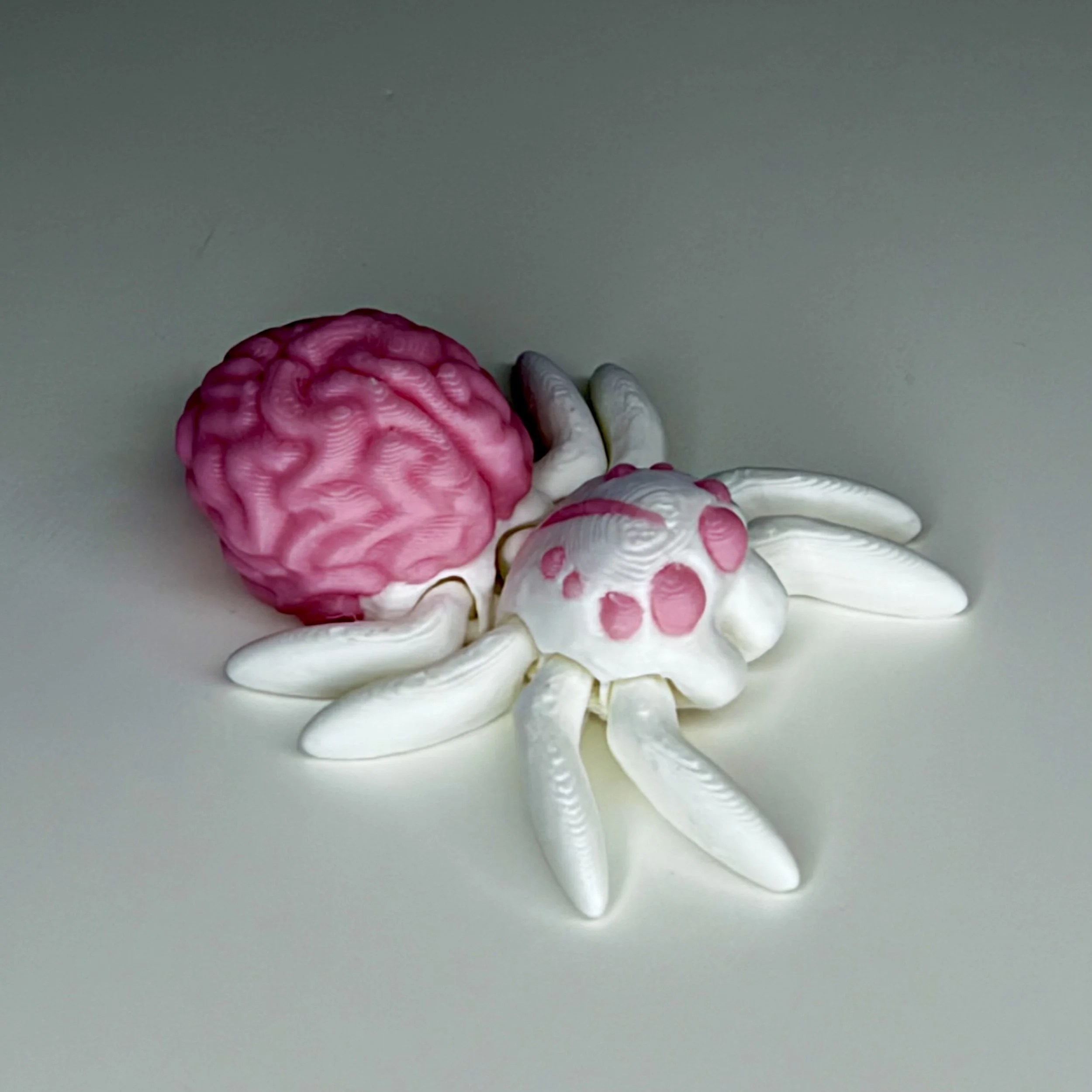 Small Pocket Pet - Brain Spider