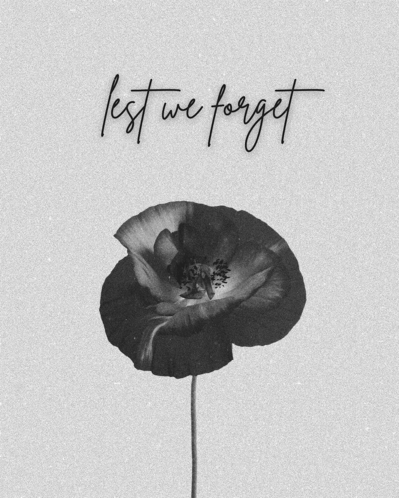 In observation of Remembrance Day, The Motherhood Project will be closed on Tuesday, November 11.

We pause, in gratitude, for the tremendous sacrifices made to allow us our freedom 🕊️