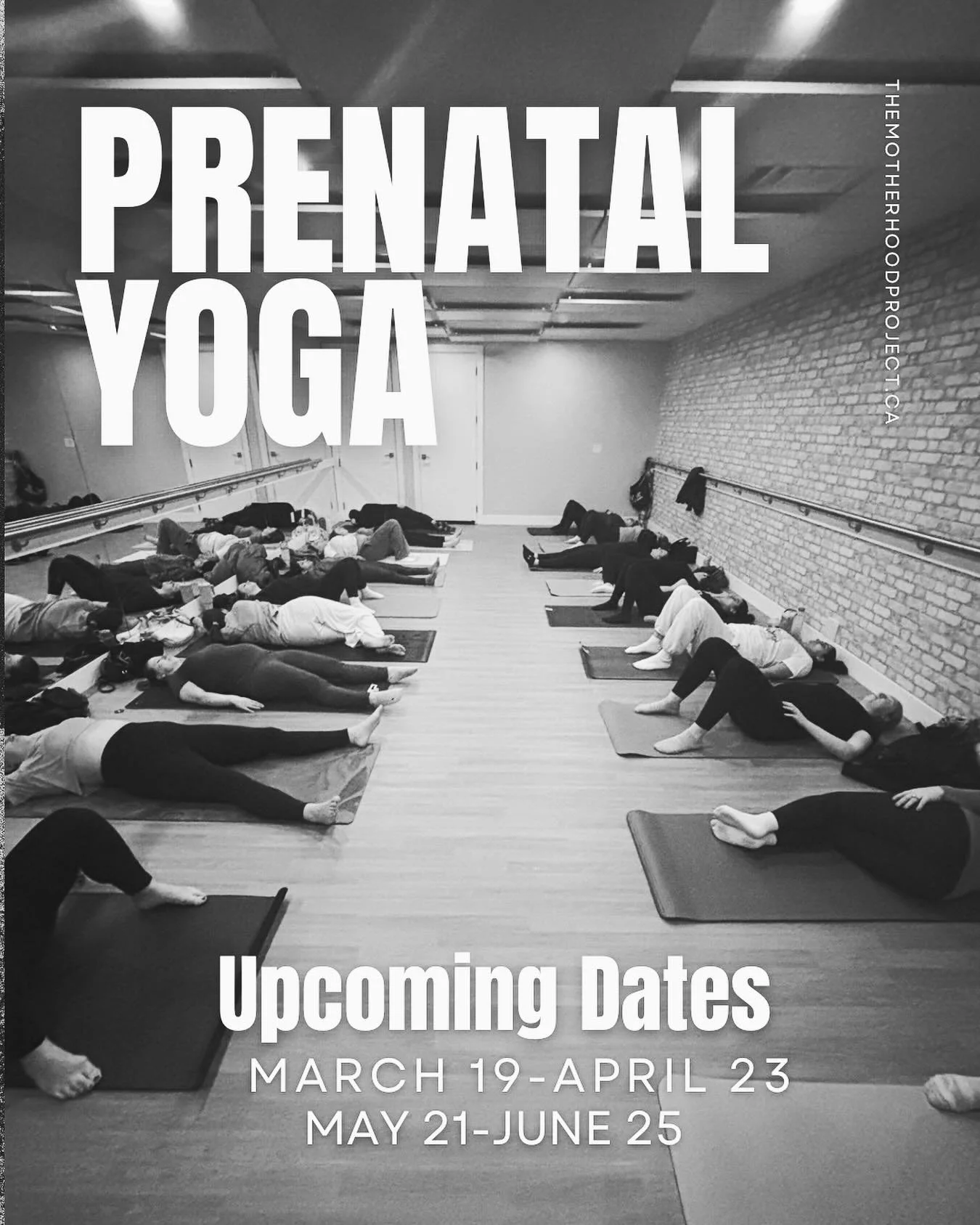 Our next 2 Prenatal Yoga sessions are live on the website for registration! 💥 

Don&rsquo;t snooze on signing up-this series sells out consistently with wait list 🤯 and we want to make sure we get you in the room!

6 weeks of movement, community, e