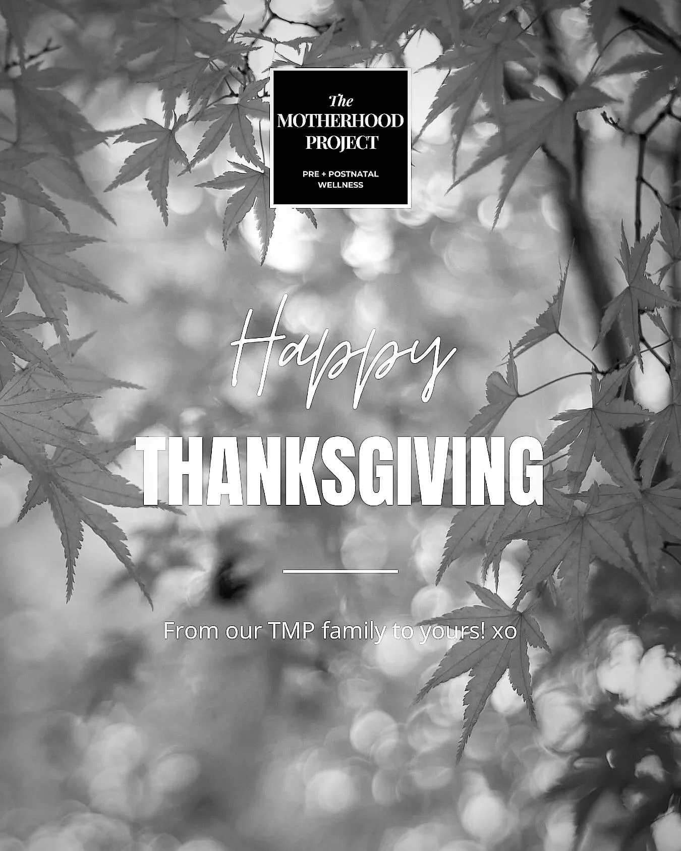 Happy Thanksgiving to all who celebrate!

We are so grateful for every one of you in our TMP community! 🙏🏻

#happythanksgiving #community #themotherhoodproject