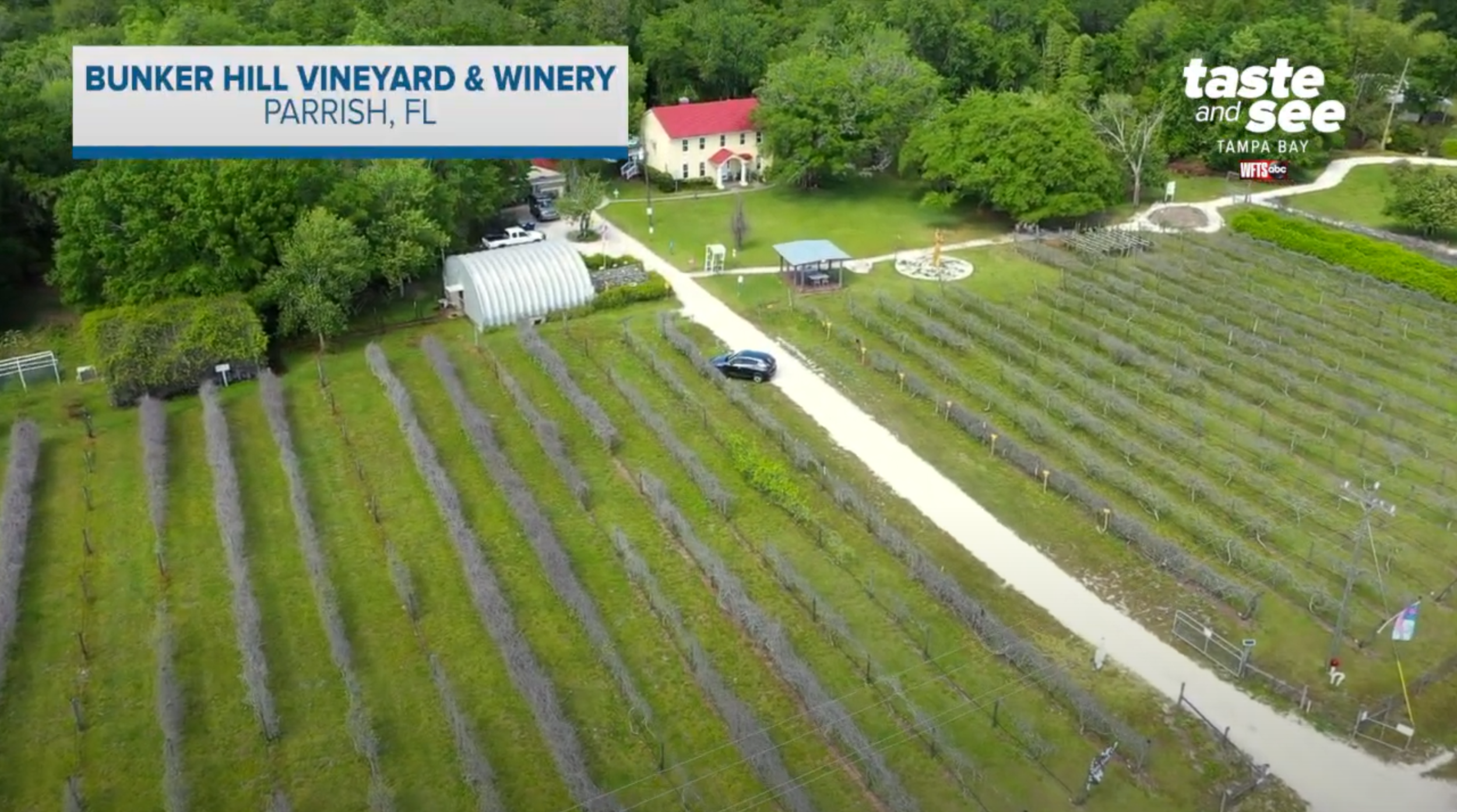 Giant Adventure: Bunker Hill Vineyard &amp; Winery