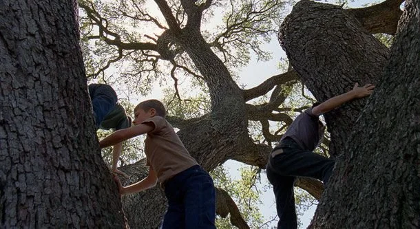 Week 2: Tree of Life (2011)