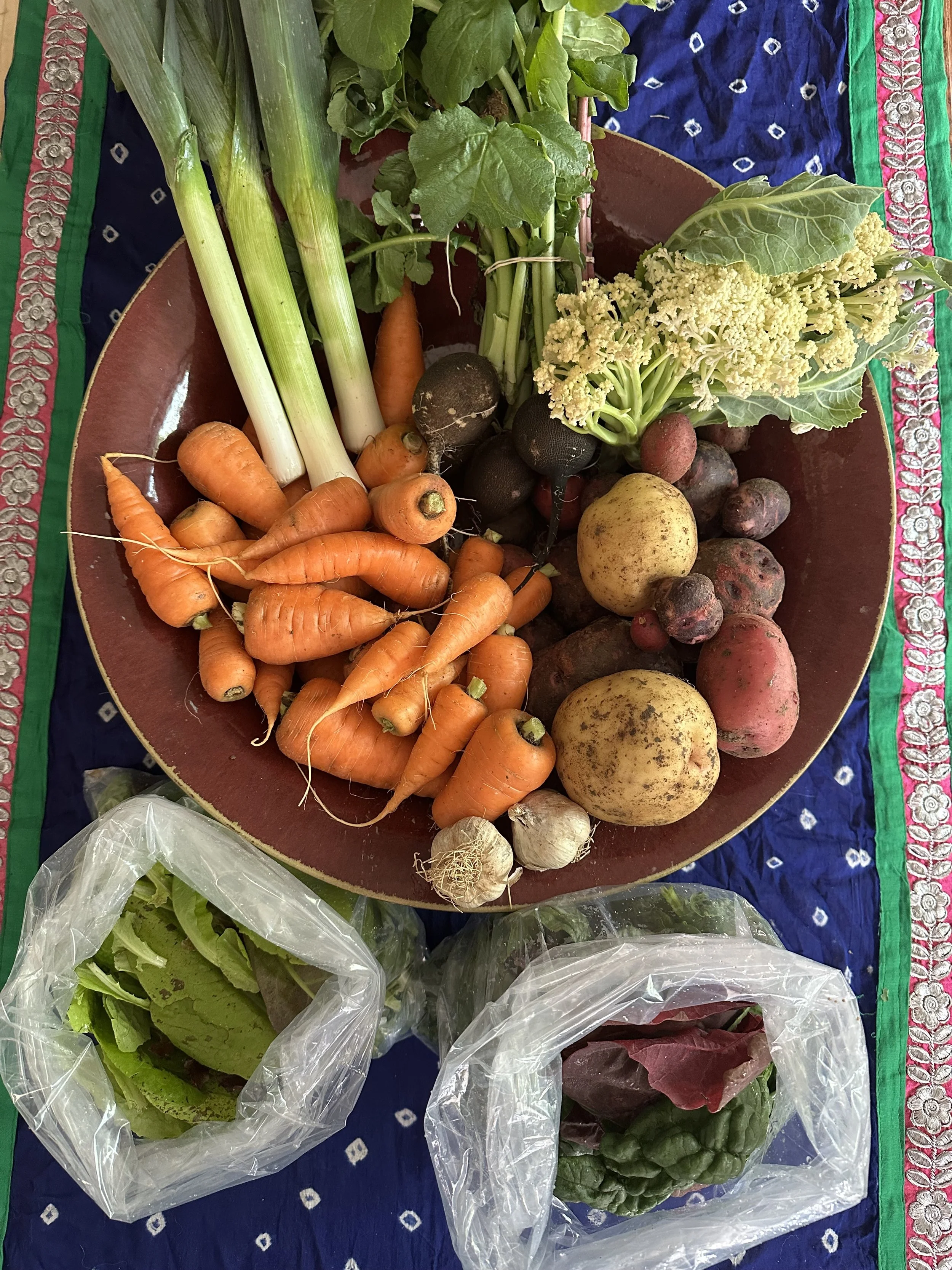 Veggies included in 2025's week 21 CSA were carrots (extra), garlic, leek, mix of orache and spinach, mix of red and yukon potatoes (extra), radishes, salad mix (extra), and sprouting cauliflower.