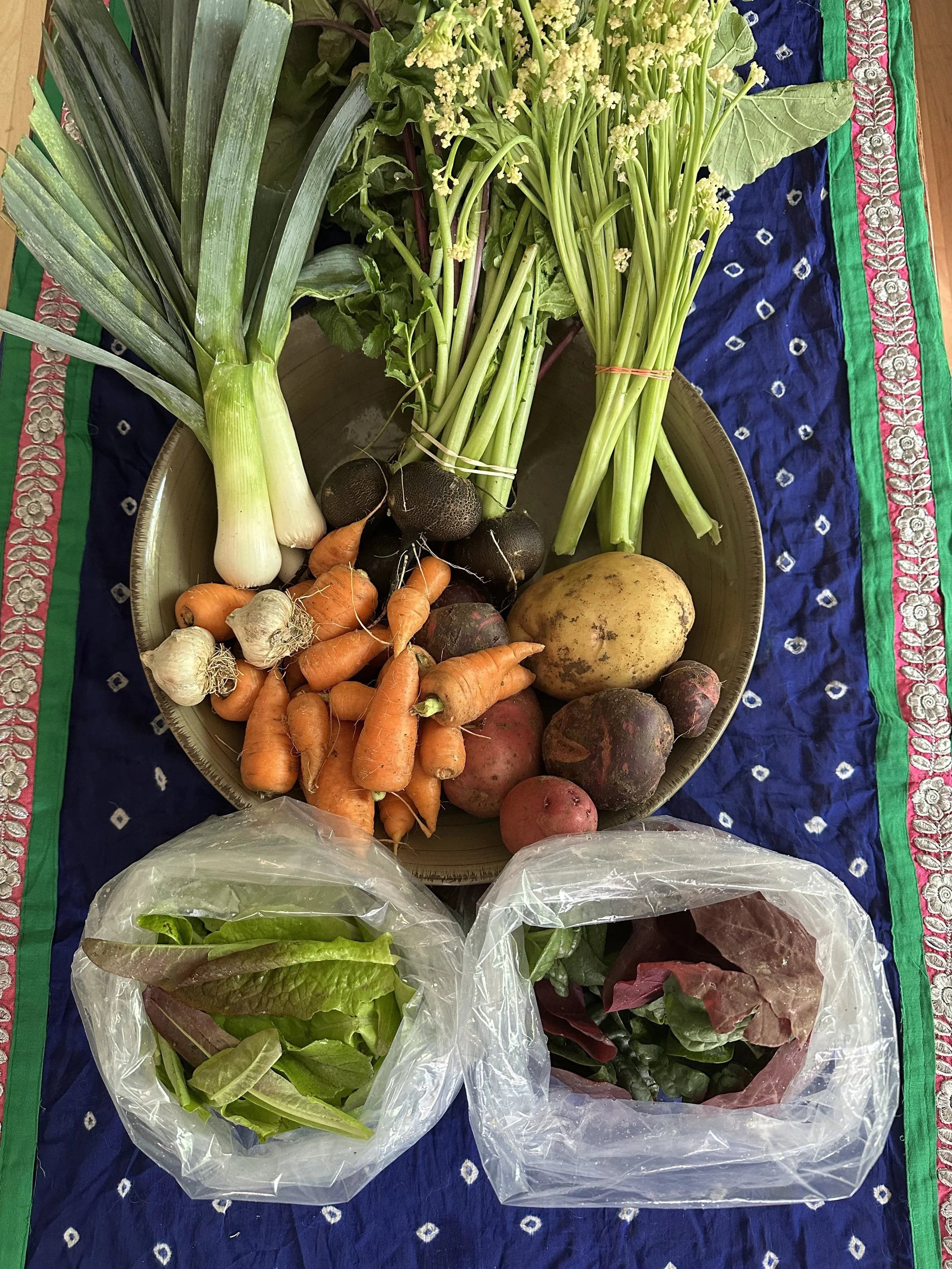 Veggies included in 2025's week 21 CSA were carrots, garlic, leek, mix of orache and spinach, mix of red and yukon potatoes, radishes, salad mix, and sprouting cauliflower.