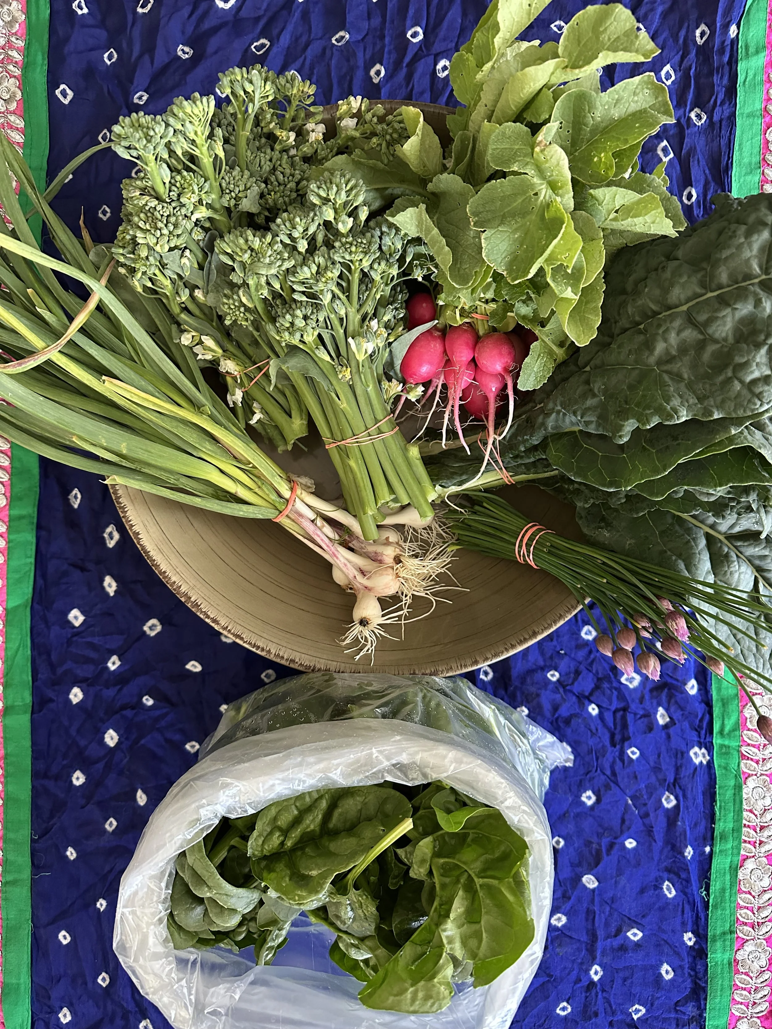 Veggies included in 2025's week 1 CSA were broccolini, chives, green garlic, lacinato kale, radishes, and spinach.