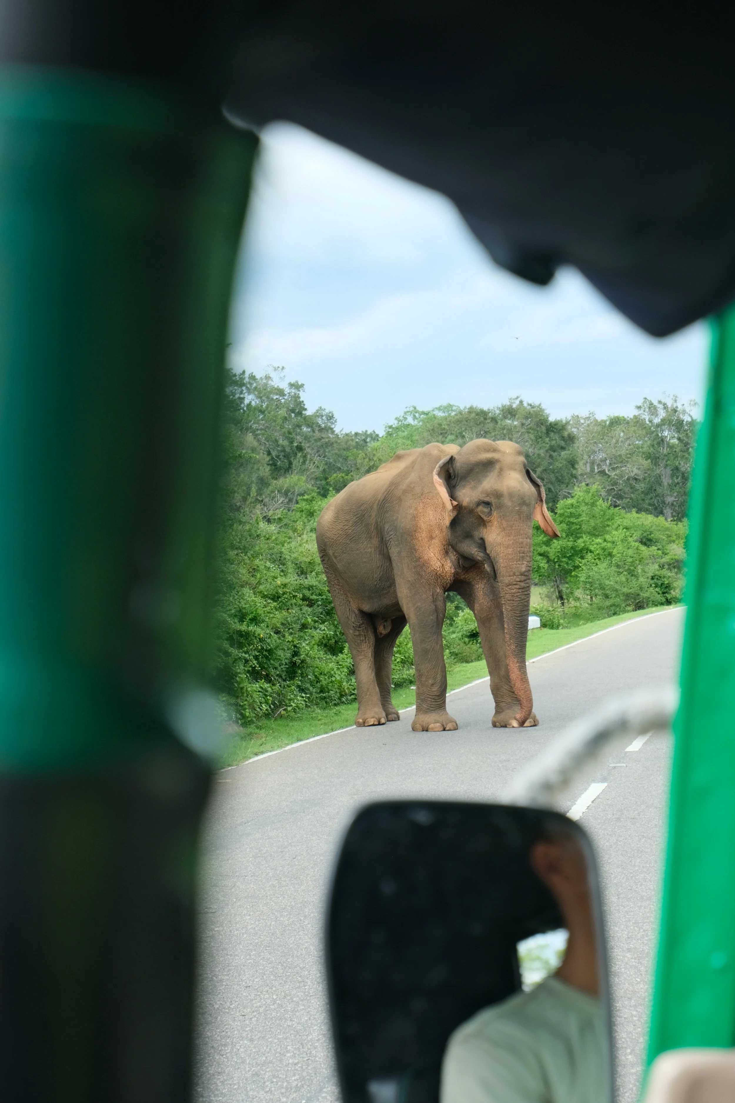 How to Travel Sri Lanka by Tuk Tuk: Cost, Safety, Routes &amp; Rental Tips (Ultimate Guide)