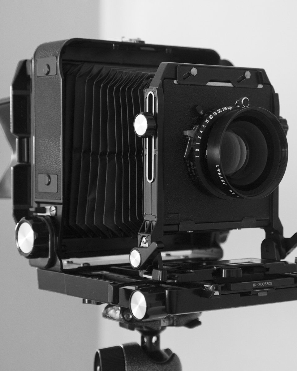 Large format portrait