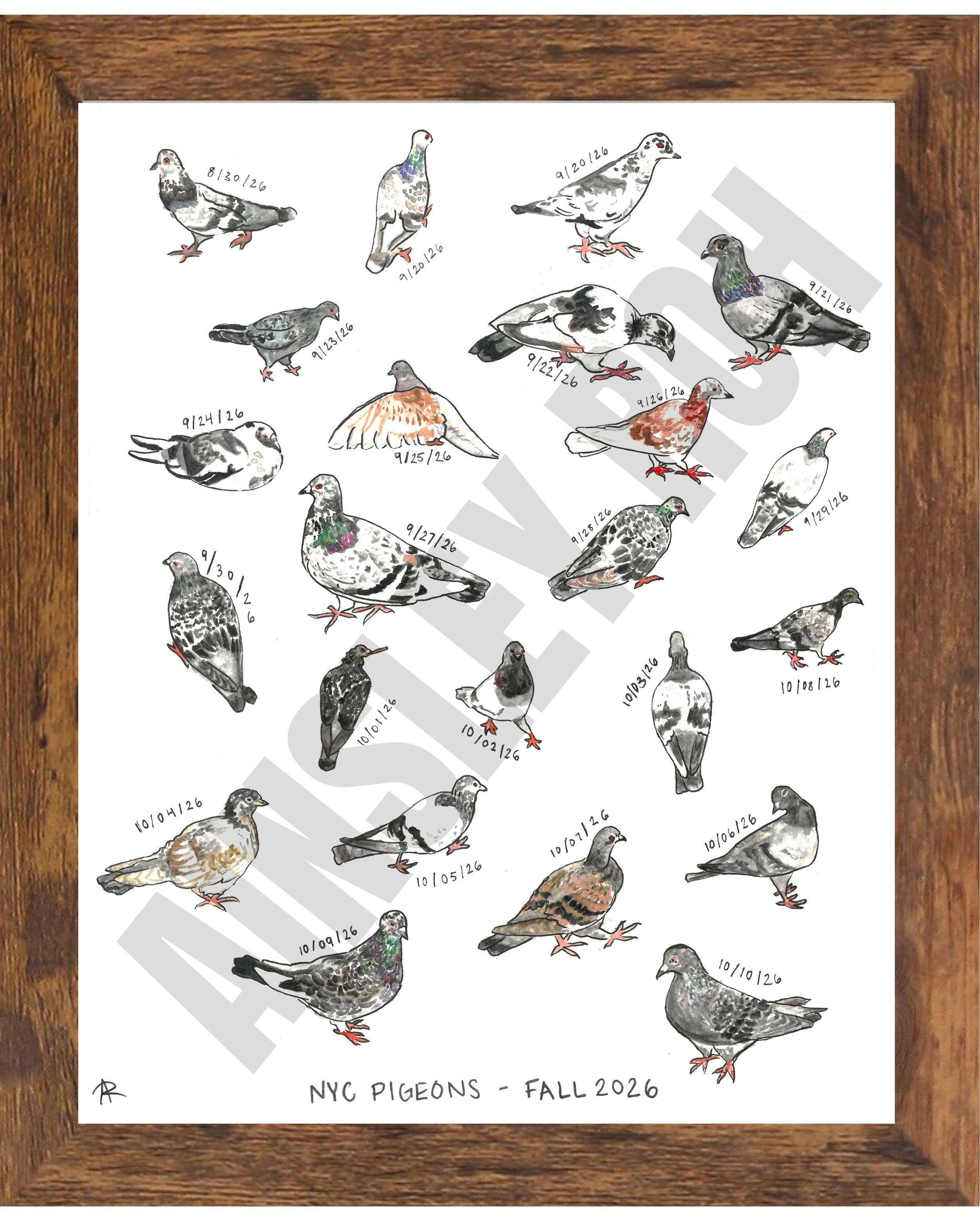NYC Pigeons Print