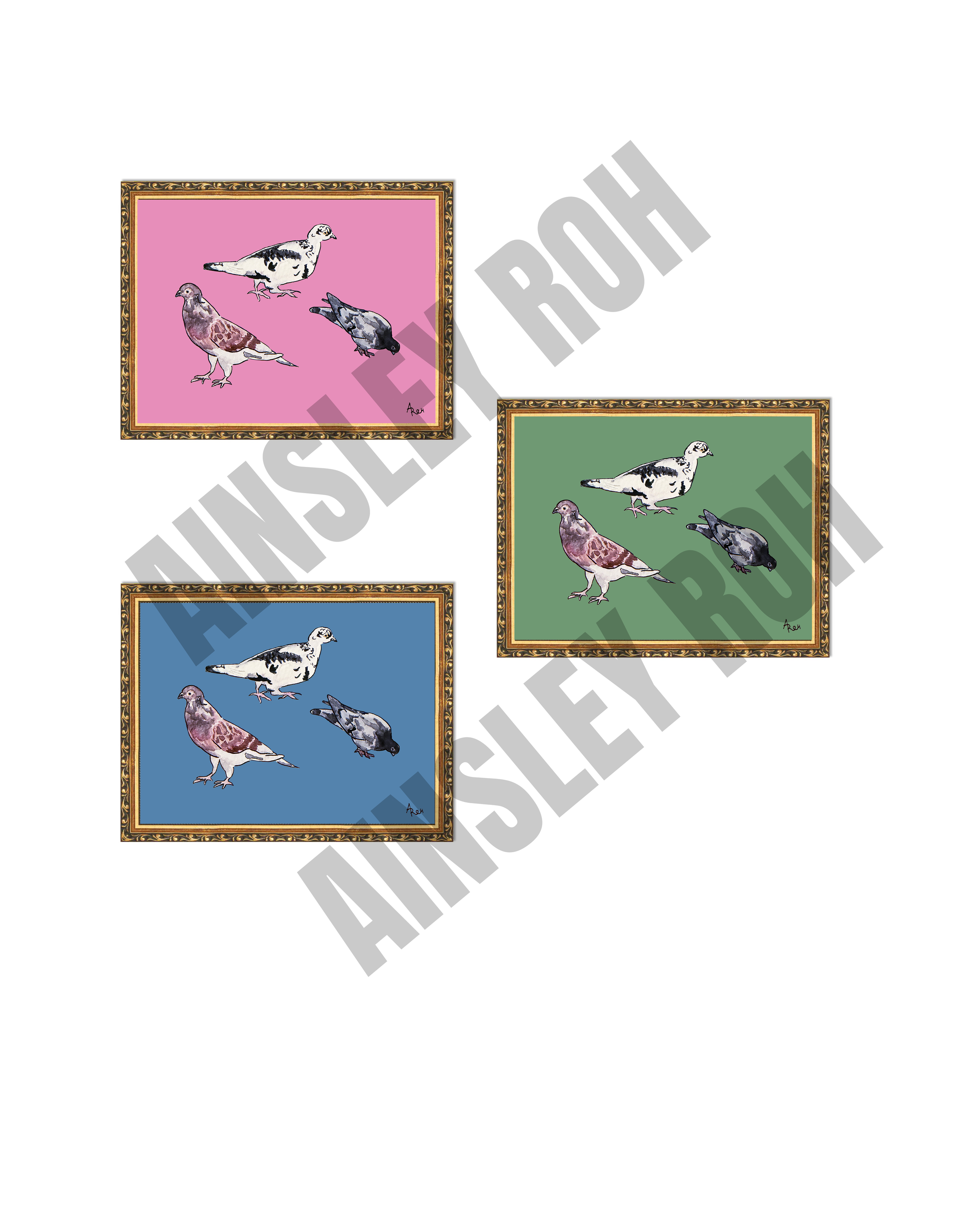 3 Pigeon Trio