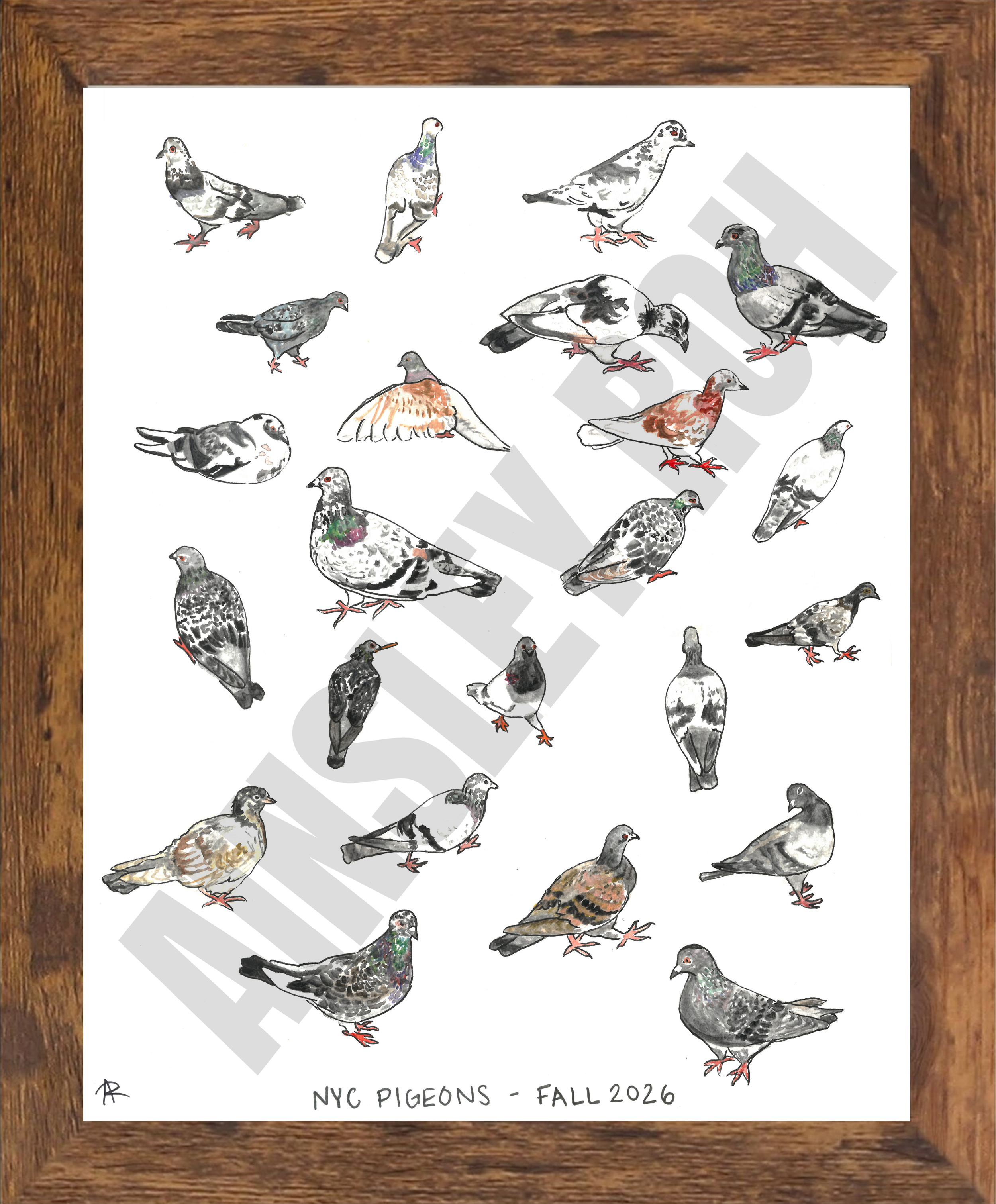 pigeonnodates.png