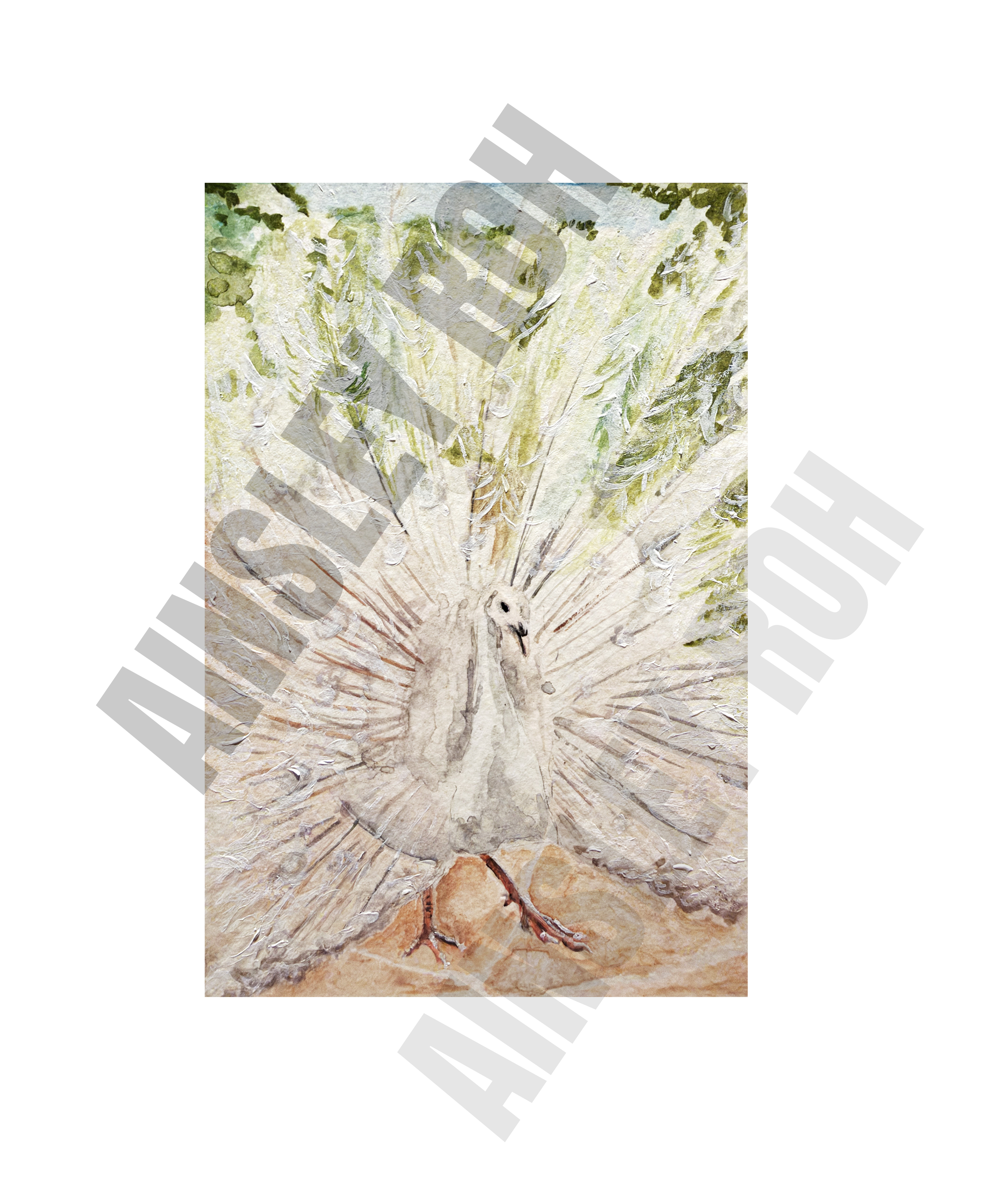 Gem the Pigeon Print