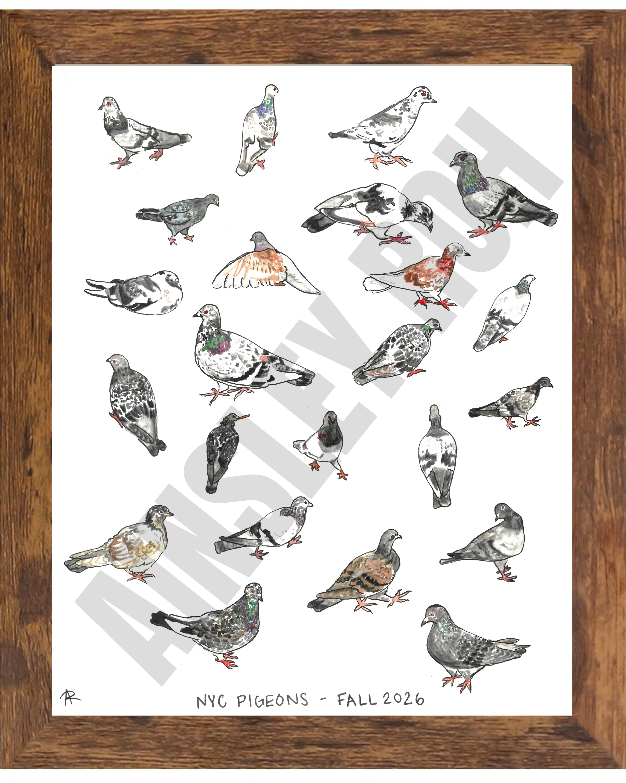 NYC Pigeon Print (No Dates)