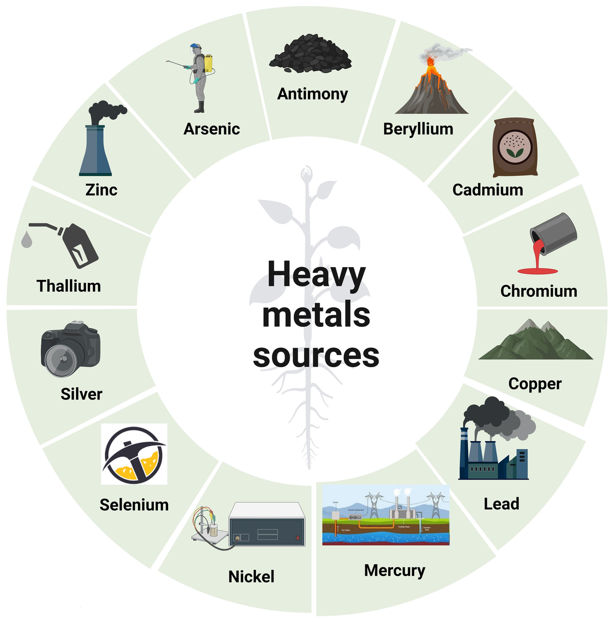 get rid of heavy metals