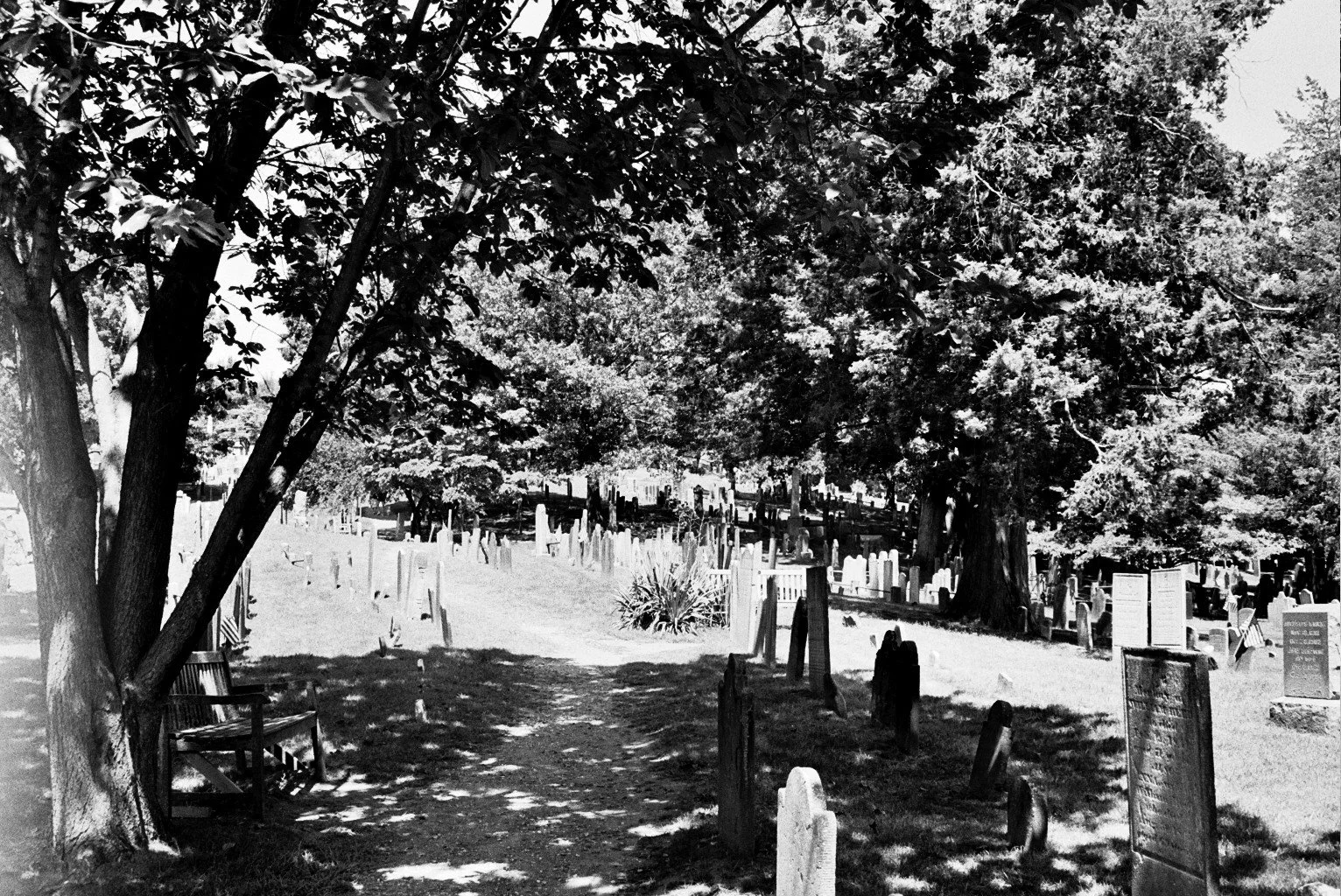 _28_0094.jpg