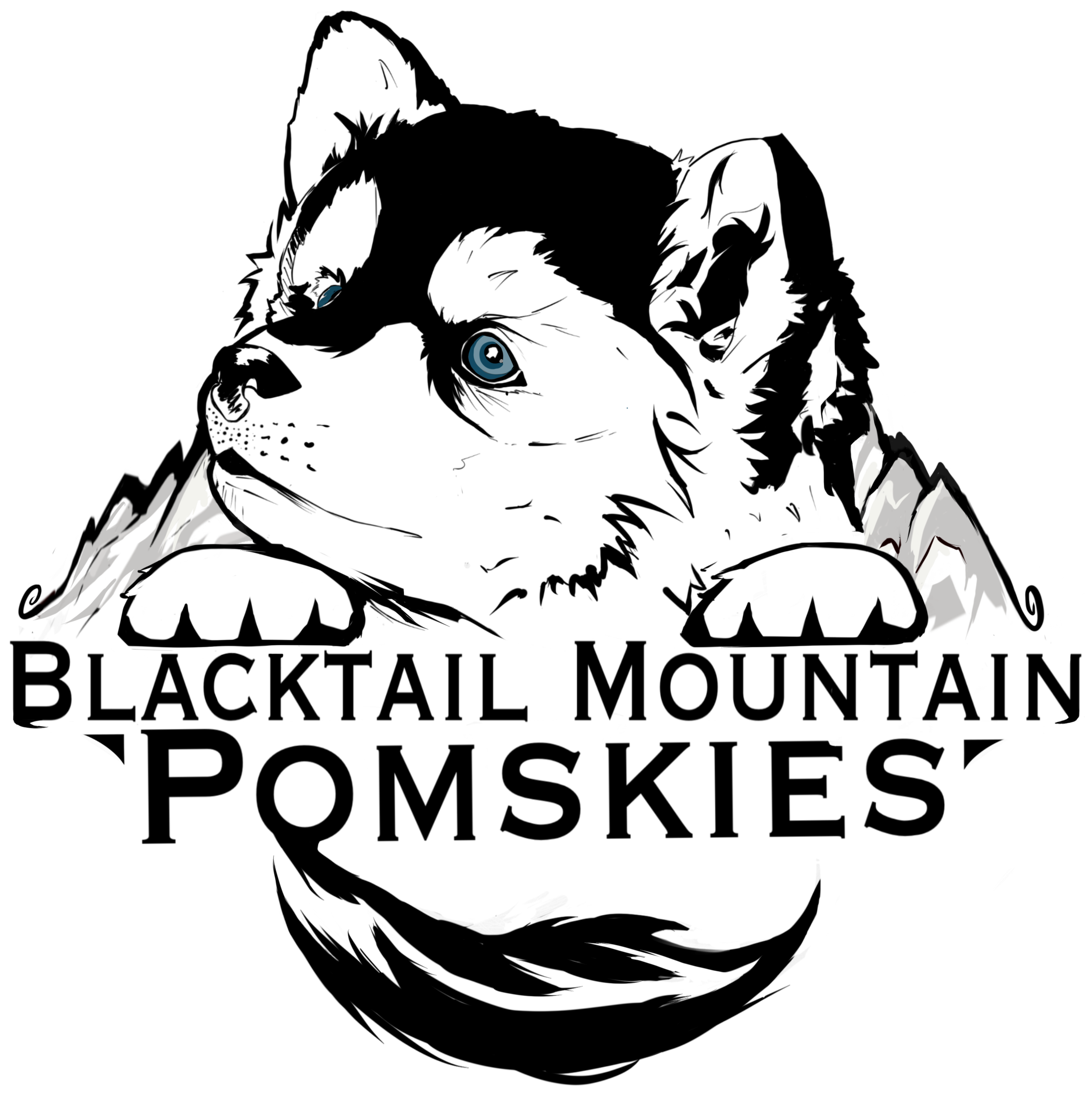 LOGO2.png