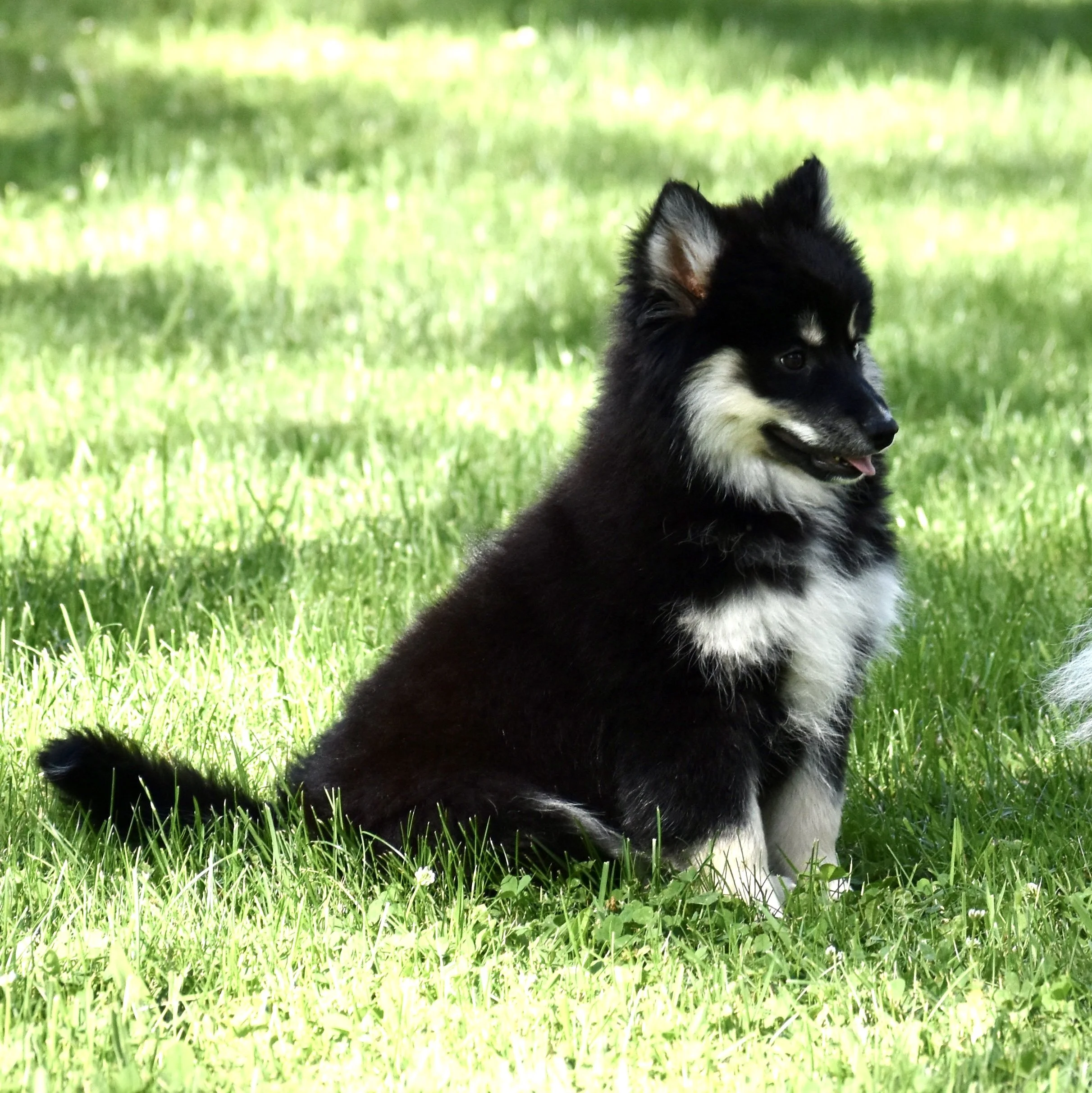 DSC_0896 2.jpg