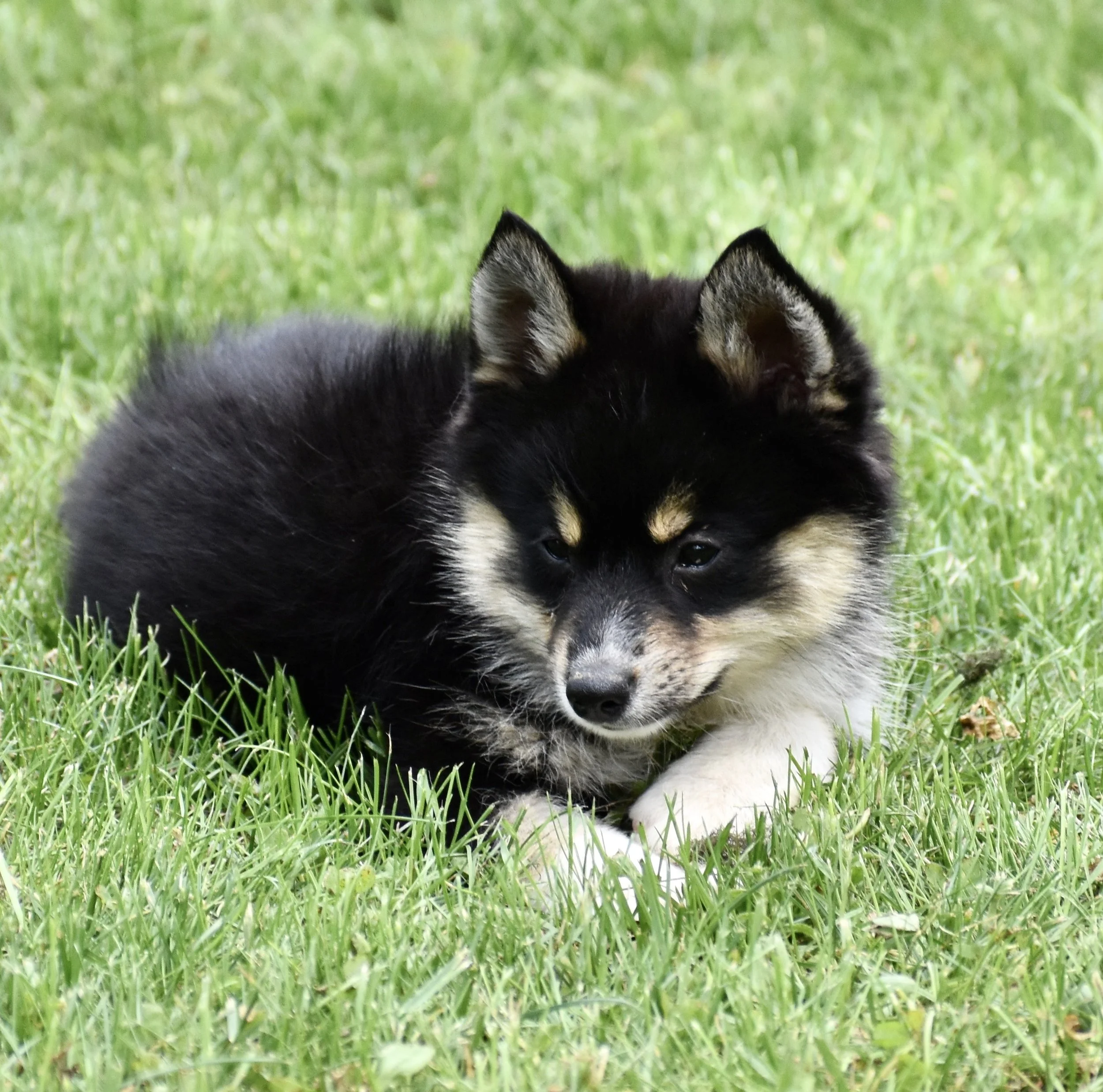 DSC_0407.jpg