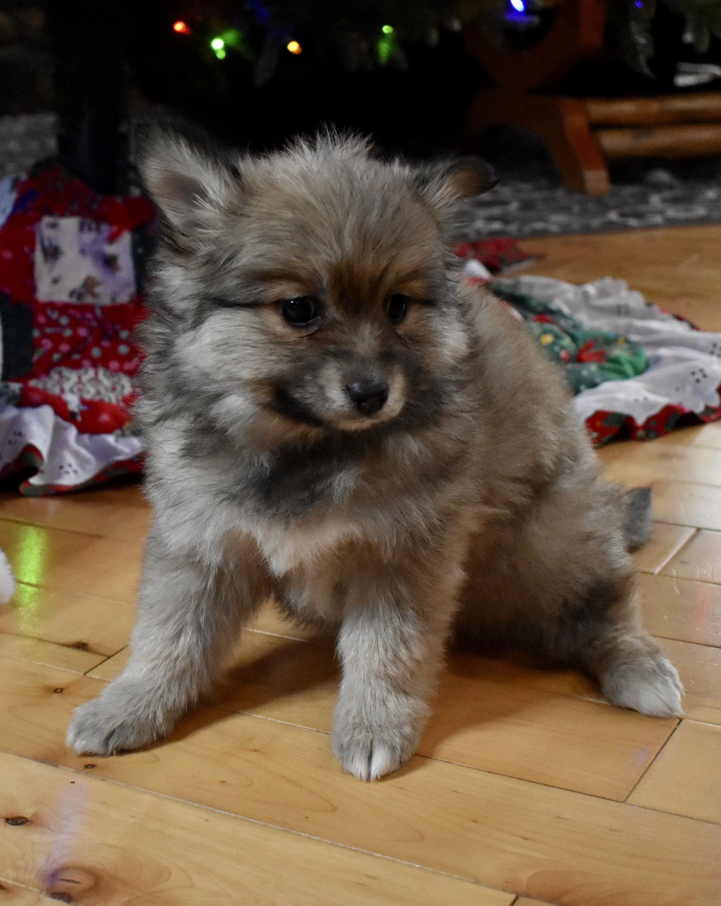 DSC_0555.jpg