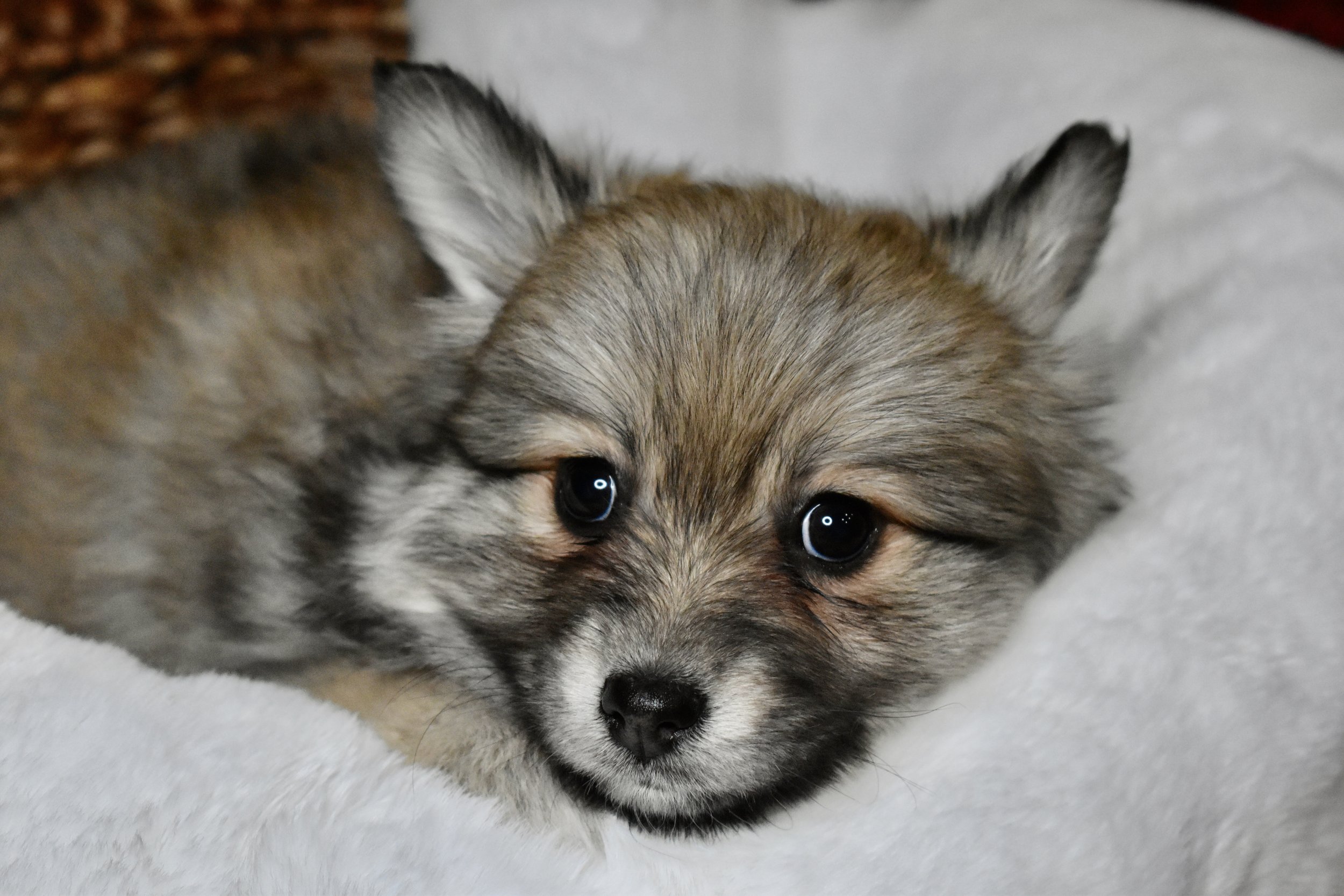 DSC_0501.jpg